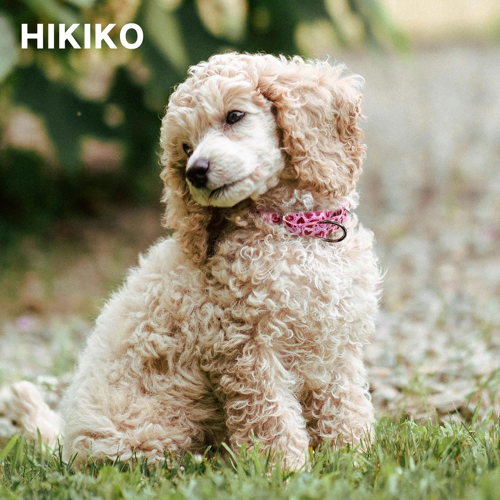 Hikiko Pink Heart Martingale Dog Collar With No Buckle Pretty Cute Valentines Dog Collar For Large Dogs,Love,L