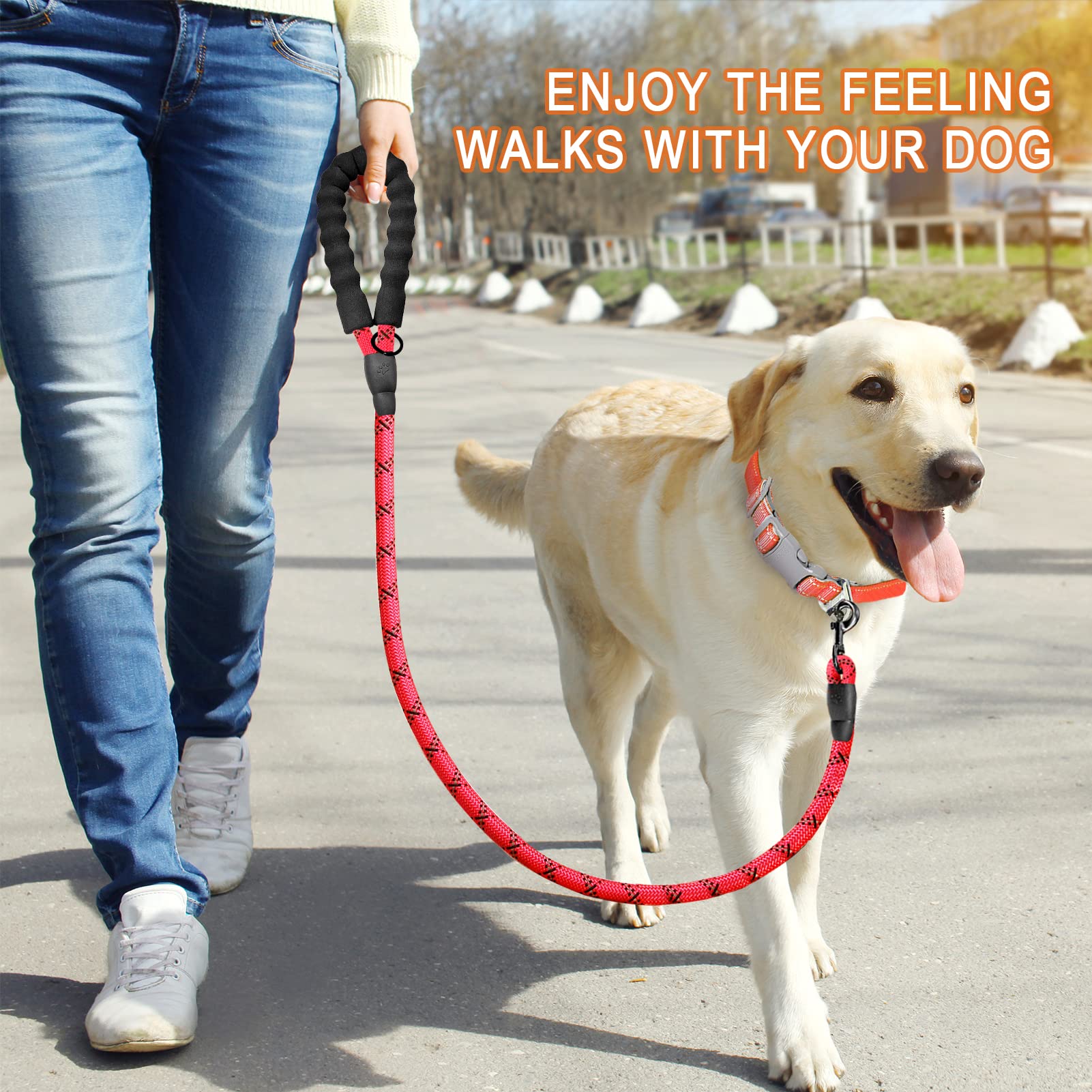 Barkbay 2 Pack Dog Leashes For Large Dogs Rope Leash Heavy Duty Dog Leash With Comfortable Padded Handle And Highly Reflective Threads 5 Ft For Small Medium Large Dogs(Red+Black)