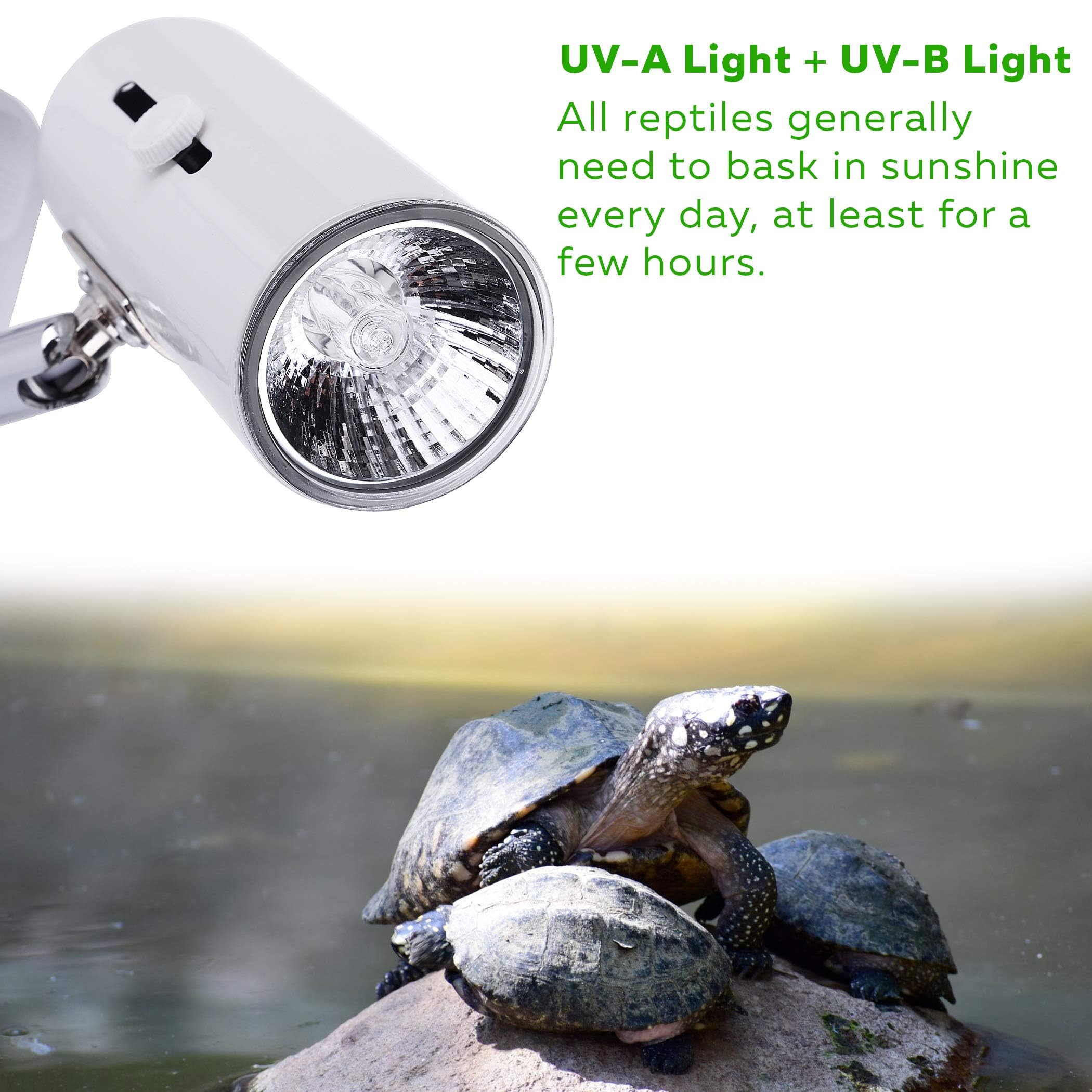 CALPALMY 4-Pack 50W UVA+UVB Bulbs | Heat and Light for Reptiles and Amphibian Tanks, Terrariums and Cages | Works with Various L