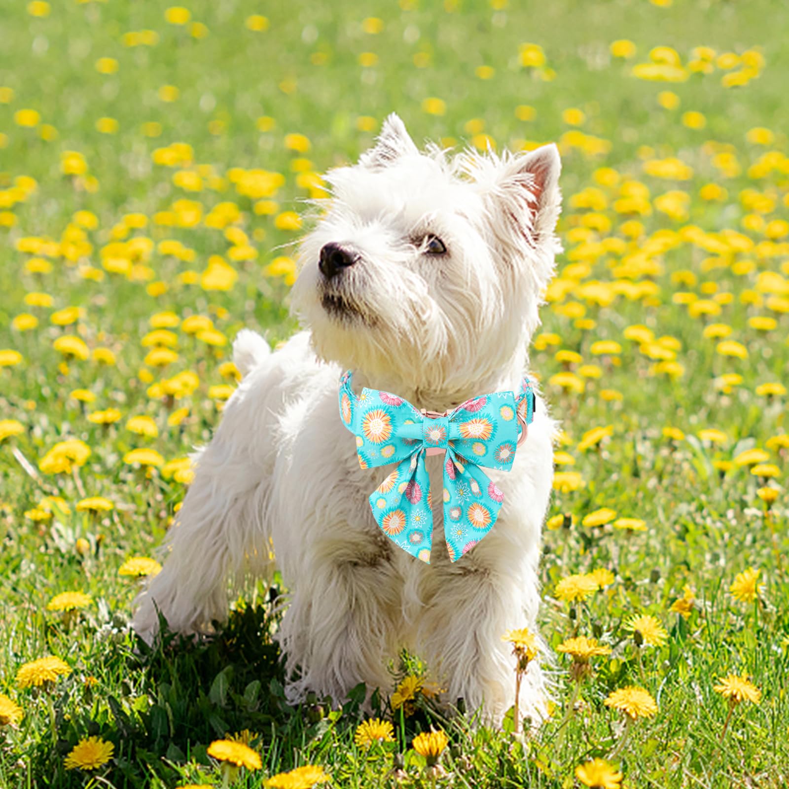 Unique Style Paws Blue Dog Collar With Bowtie, Cute Sunflower Dog Collars Adjustable Puppy Collar For Small,Medium,Large Dogs