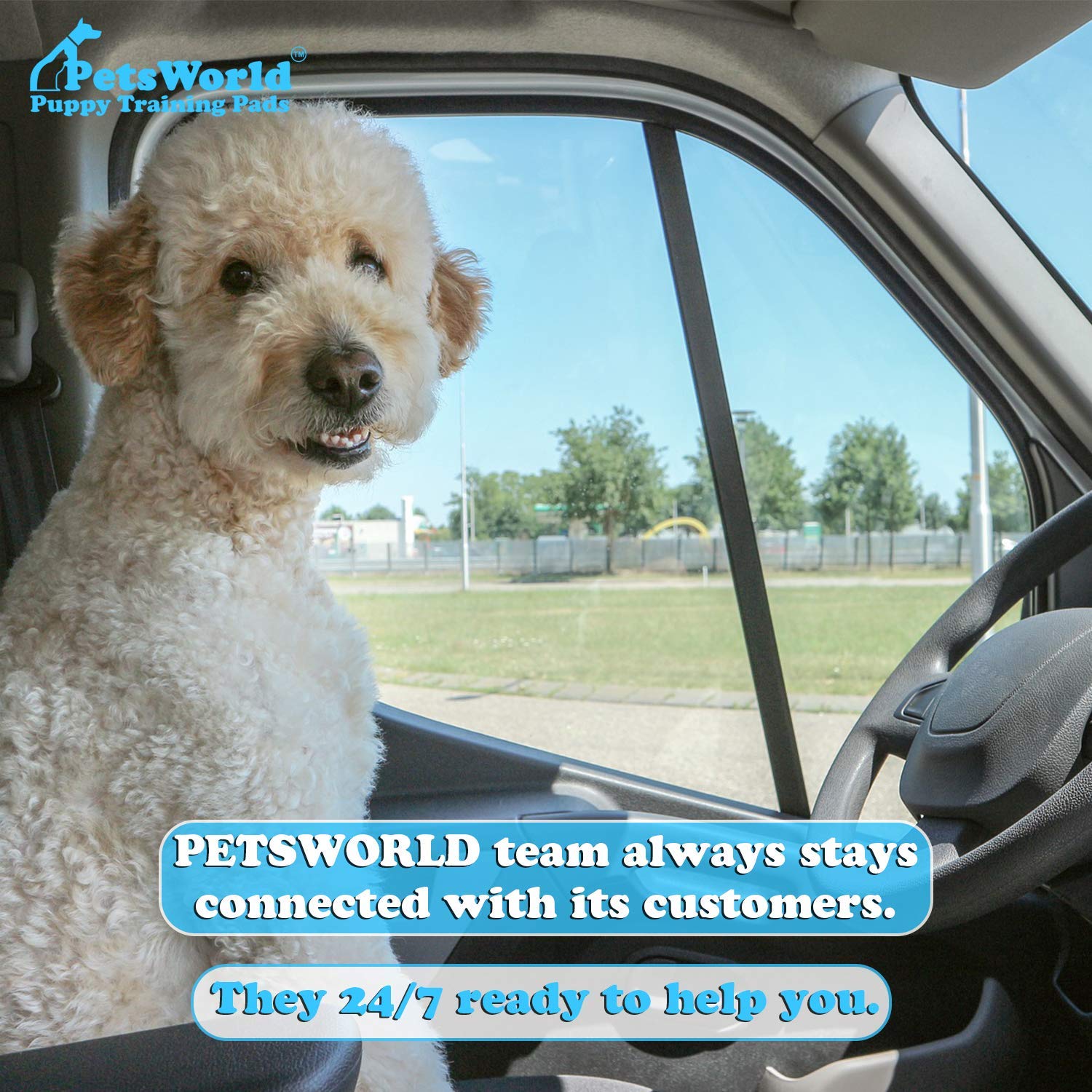 Petsworld Mastiff'S Massive Dog Training/Potty Pads, 28X44 Inch, 100 Ct, Xxxl Gigantic, Tear Resistant, Super Absorbent & Leak-Proof