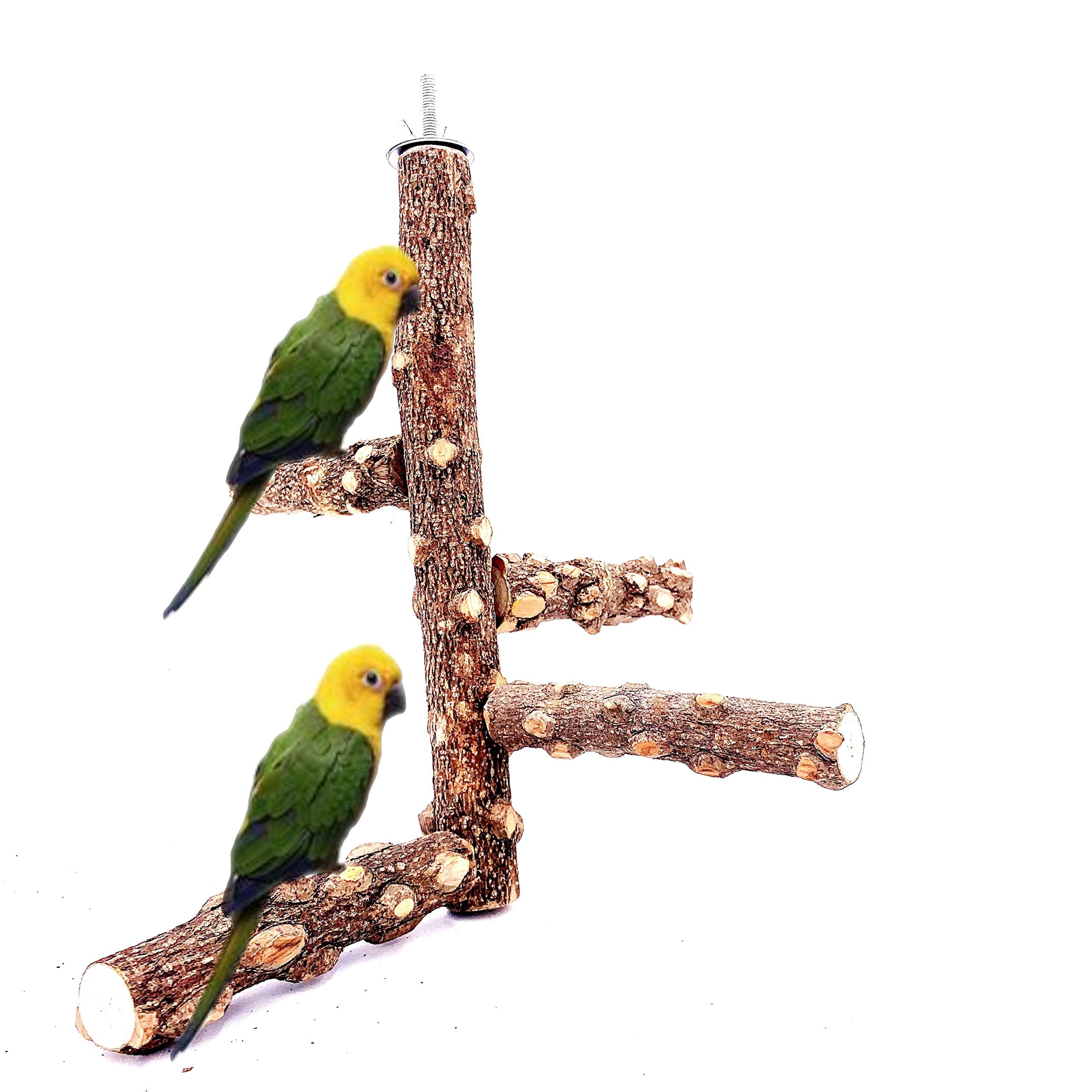 Borangs Bird Perch Natura Wood Stand Toy Branch For 3-4Pcs Small Medium Parrots Cages Toy S