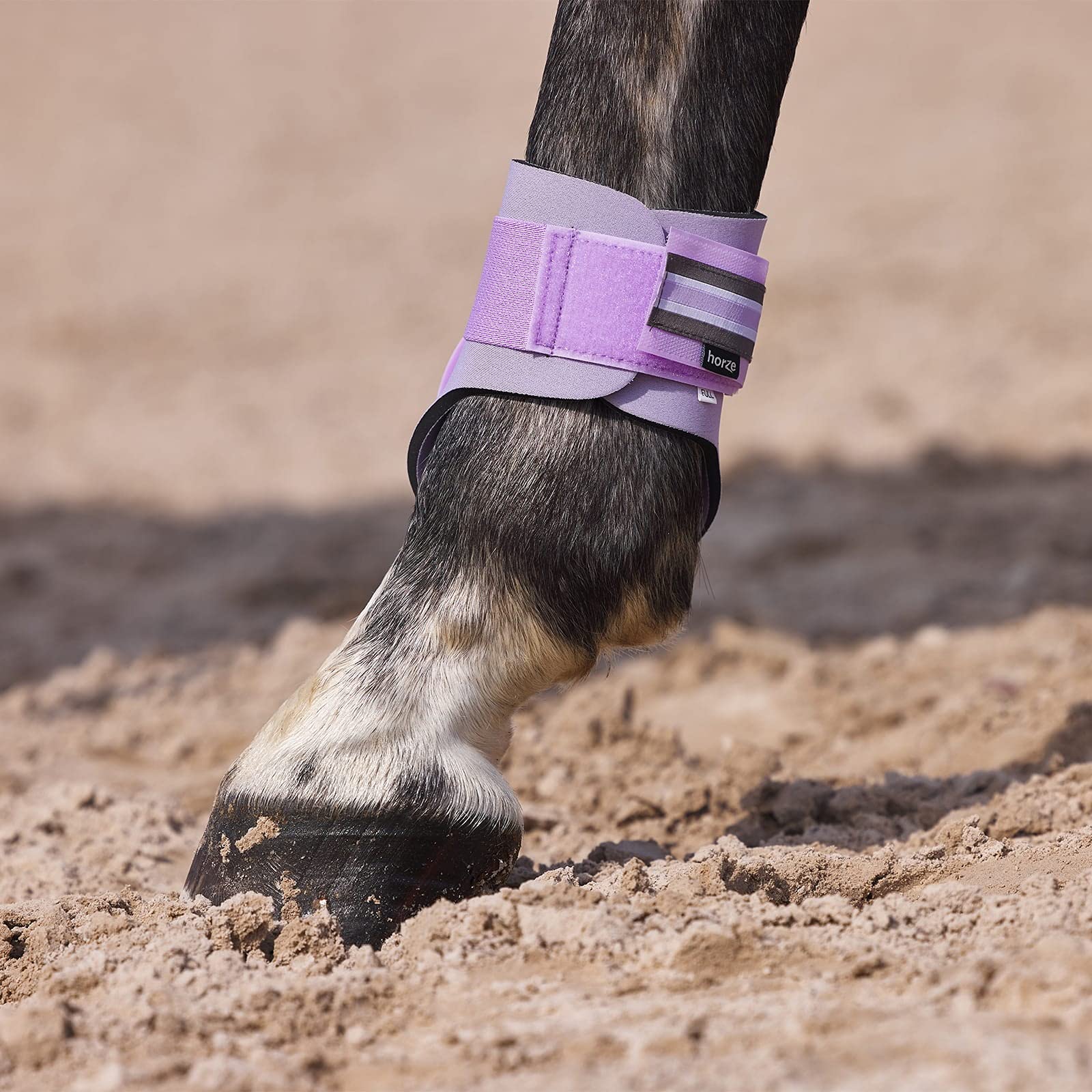 Horze Adepto Fetlock Boots - Languid Lavender Purple - Horse