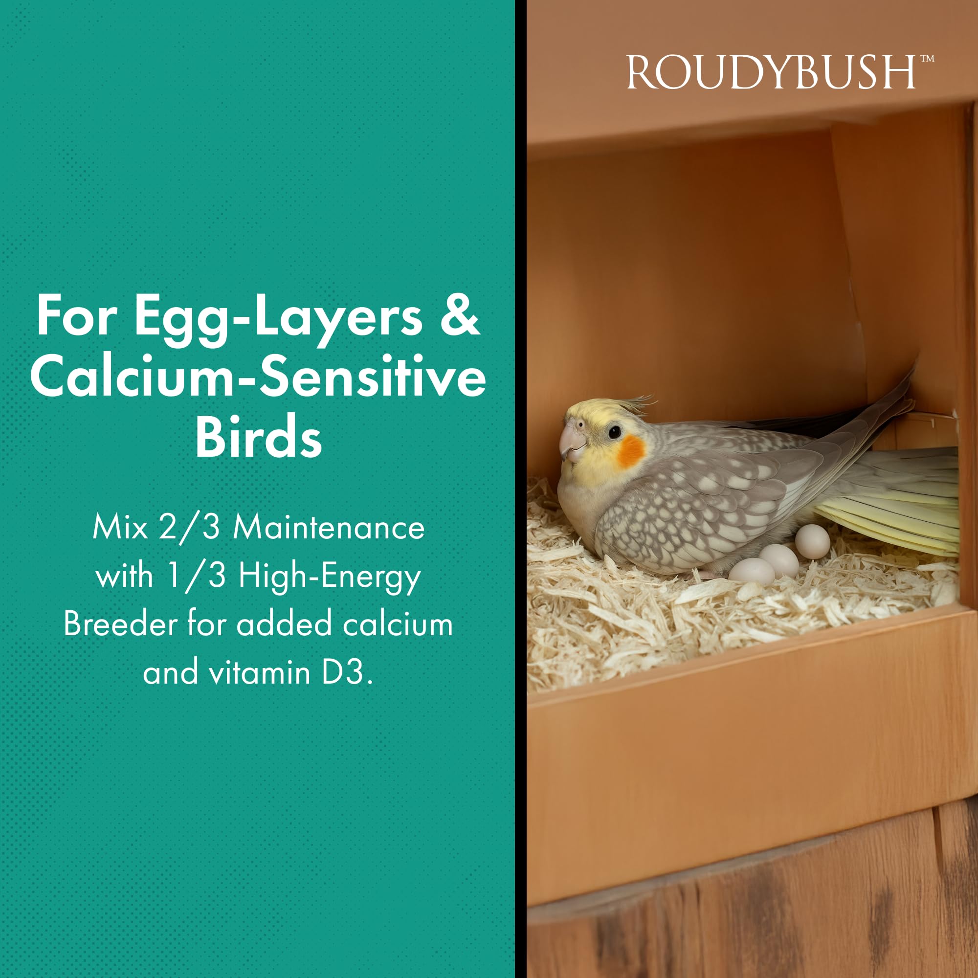 Roudybush Daily Maintenance Bird Food, Small, 25-Pound (225SMDM)