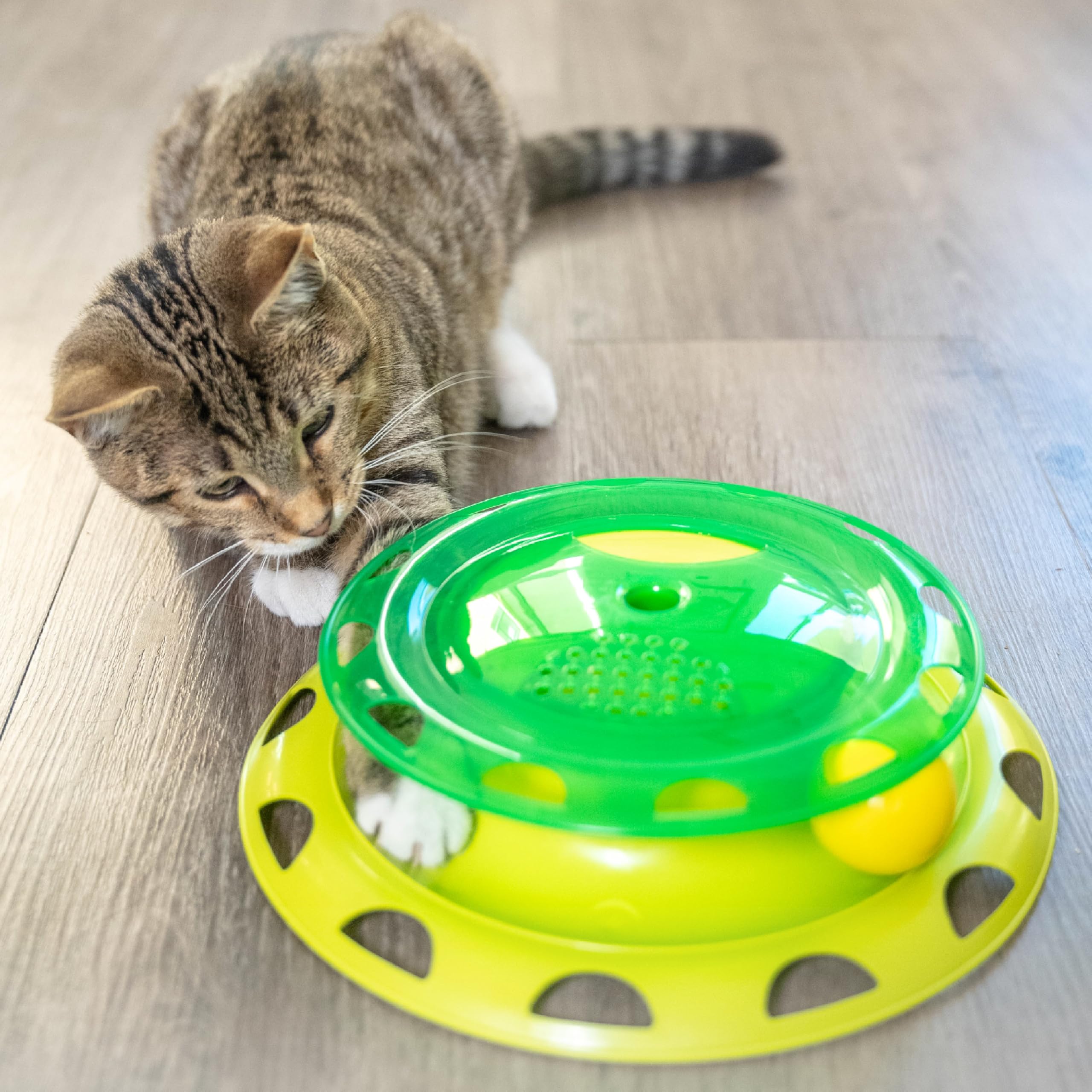 Catstages Catnip Chase Track Green Interactive Cat Toy