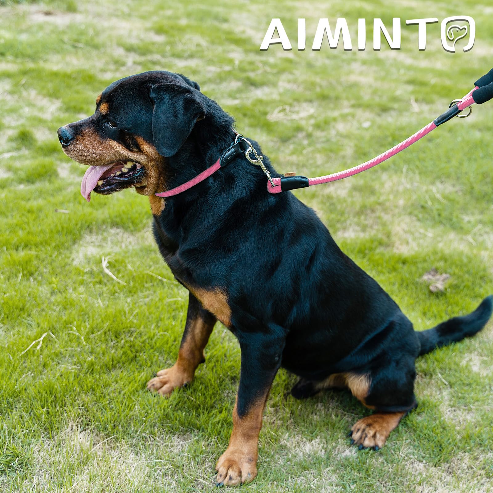 Aiminto Dog Leash, Braided Rope Traction - Walking Training Lead for Small Dogs ((1/3 '') x 6FT, Pink)