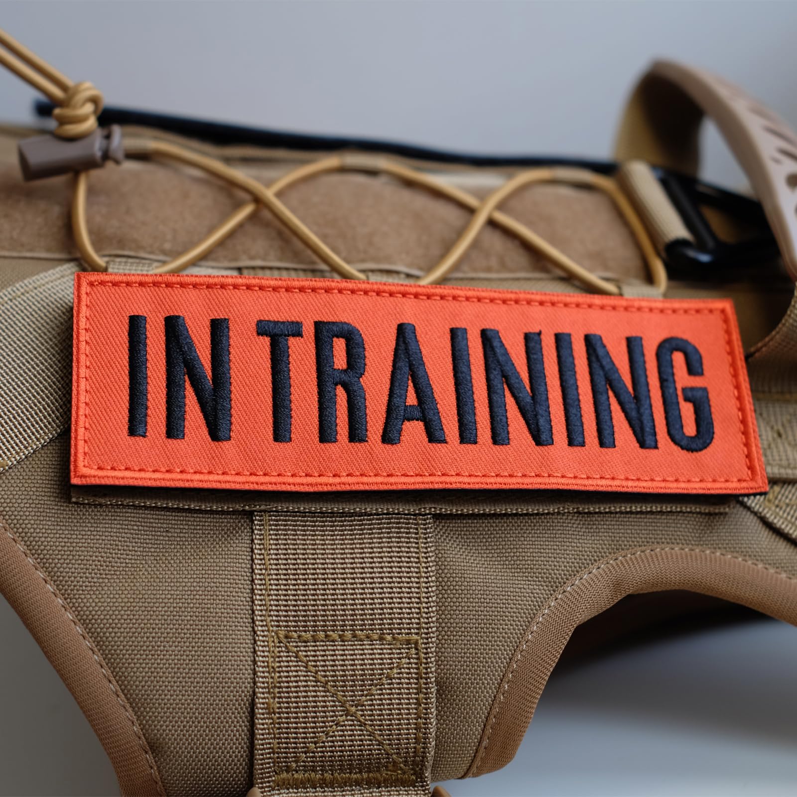Fitznora Embroidered In Training Patches, 2 Pack Clear Sign With Hook And Loop Pieces, Easy To Read Tabs For Dog Vest Harness Co