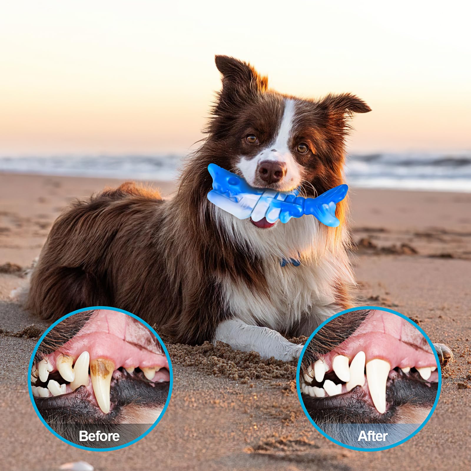 KXK Durable Dog Chew Toys for Aggressive Chewers Large Medium Small Breed, Tough Dog Toys for Large Medium Small Dog and Puppies