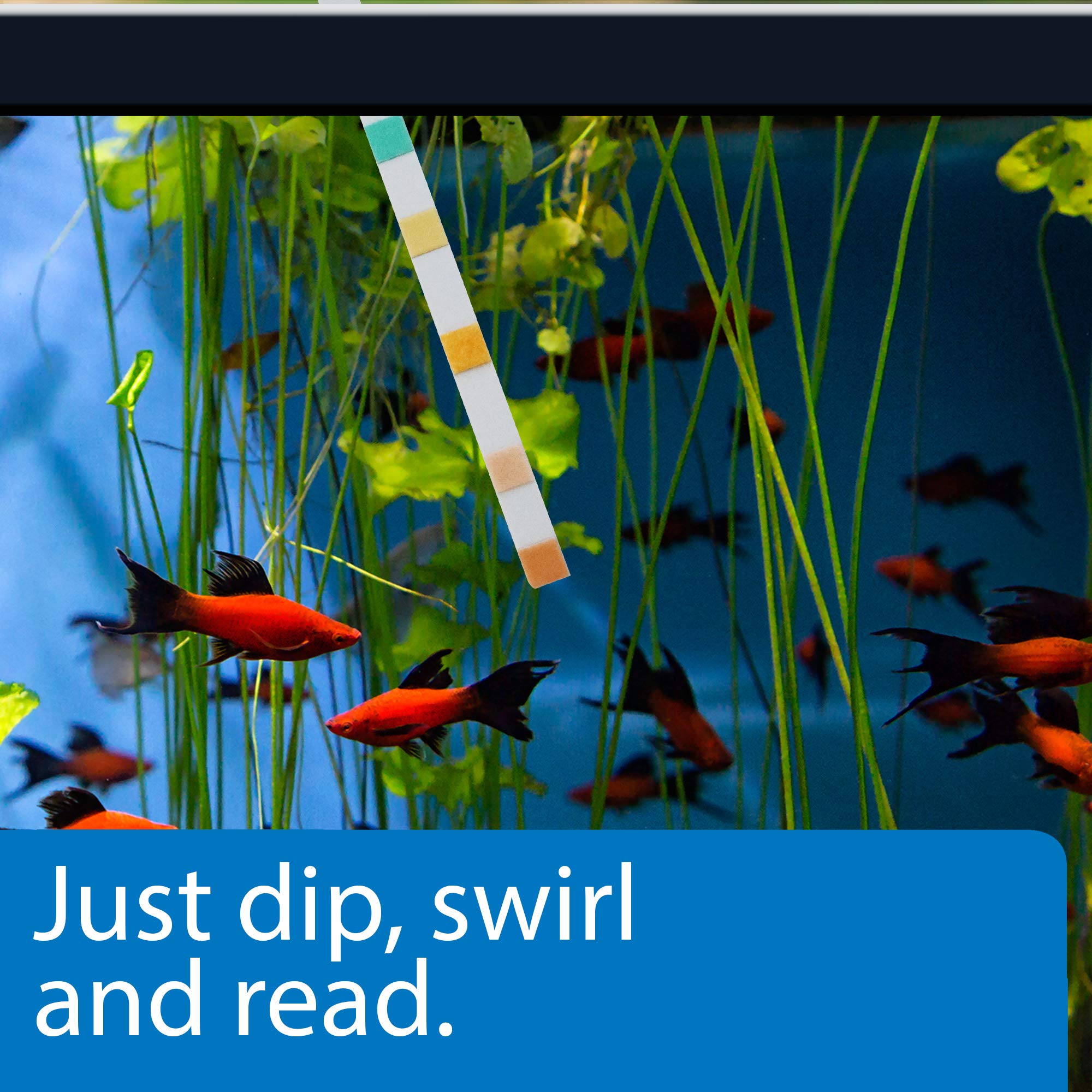 Api 5-In-1 Test Strips Freshwater And Saltwater Aquarium Test Strips 25-Count Box