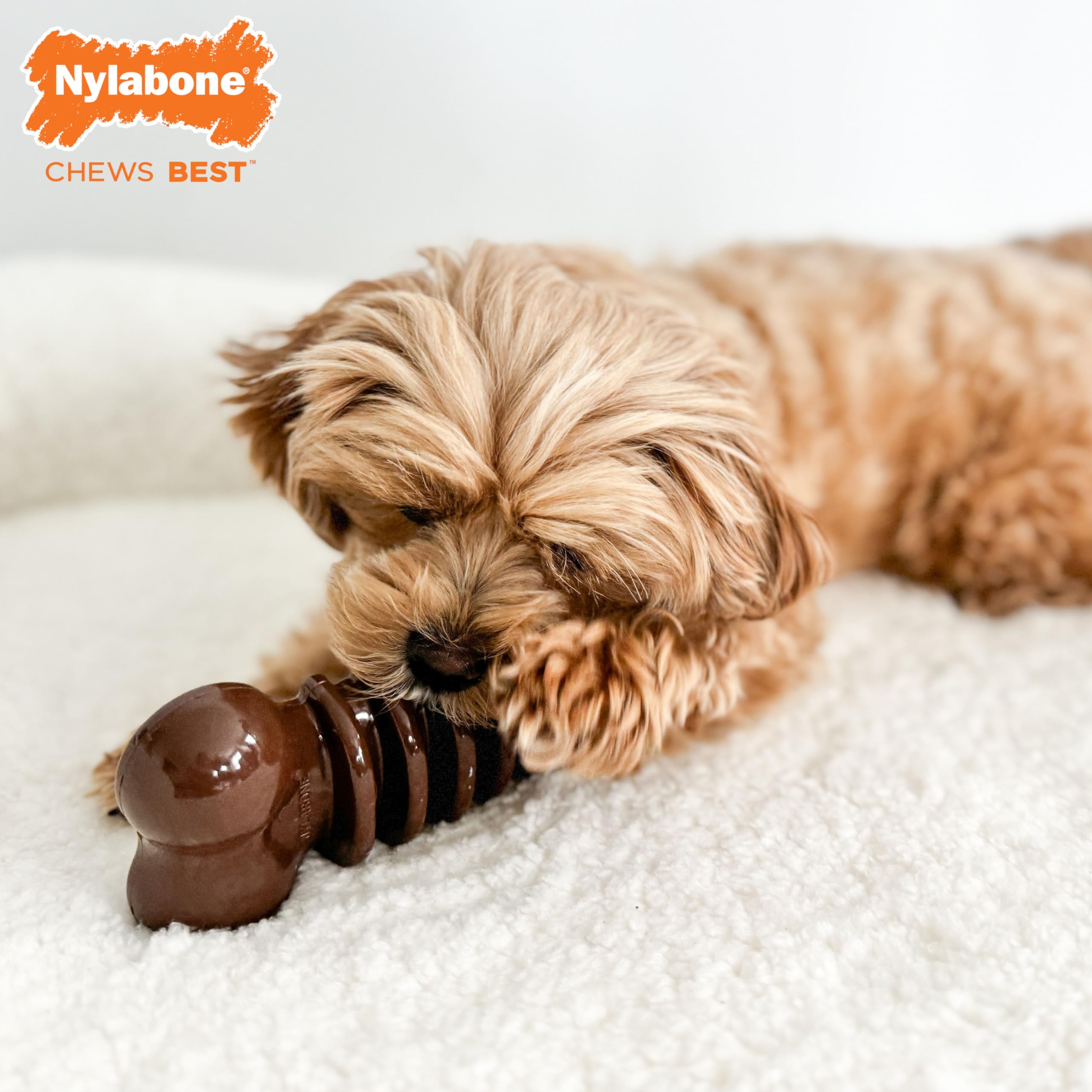 Nylabone Flexi Chill & Chew Toy for Dogs with Treat Pockets, Dog Toys for Moderate Chewers, Medley Flavor, Medium - Up to 35 lbs