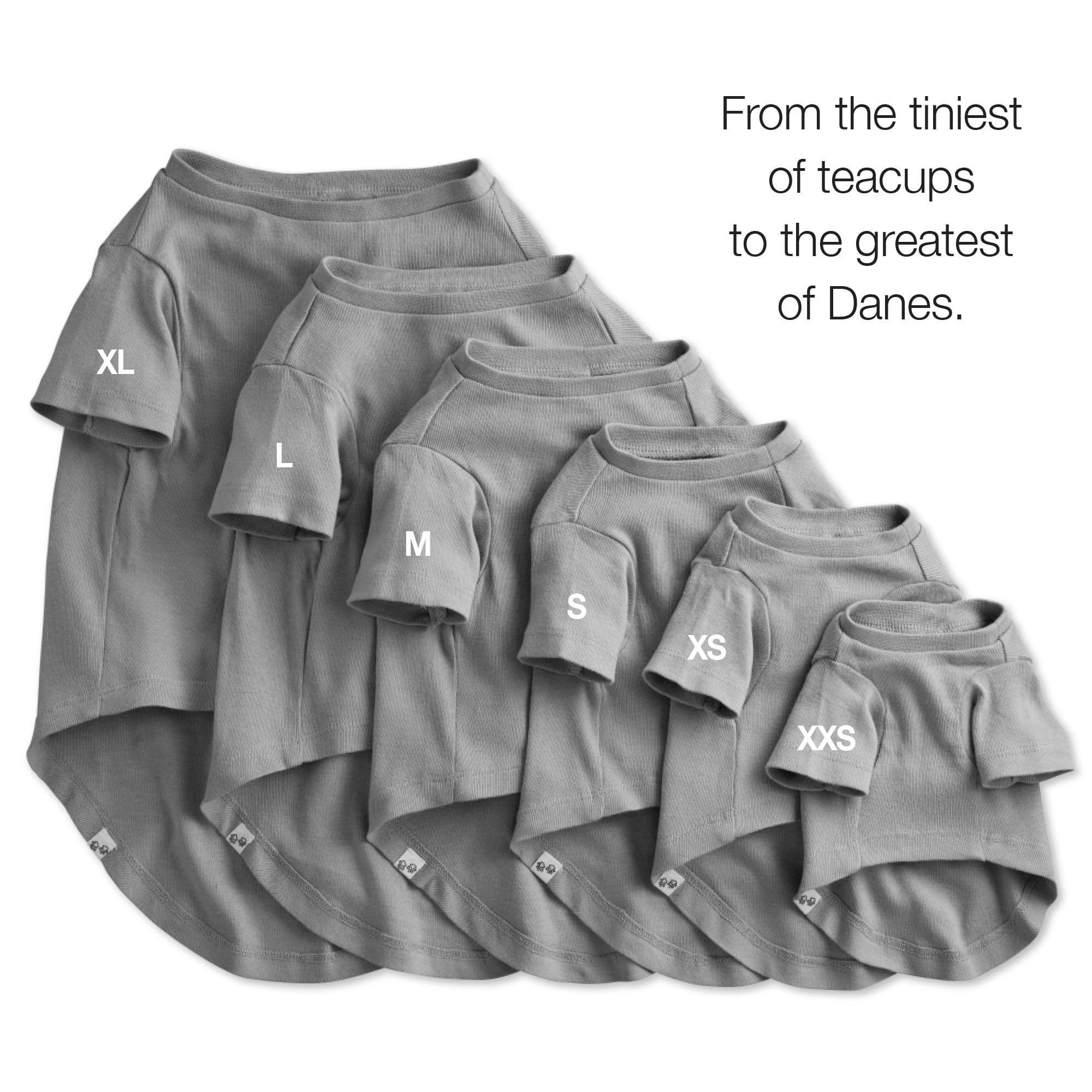 Pet Passion Multipack 100% Organic Cotton Dog Short Sleeve T-Shirt Pet Tees For All Breeds, Fair Isle, Xx-Small