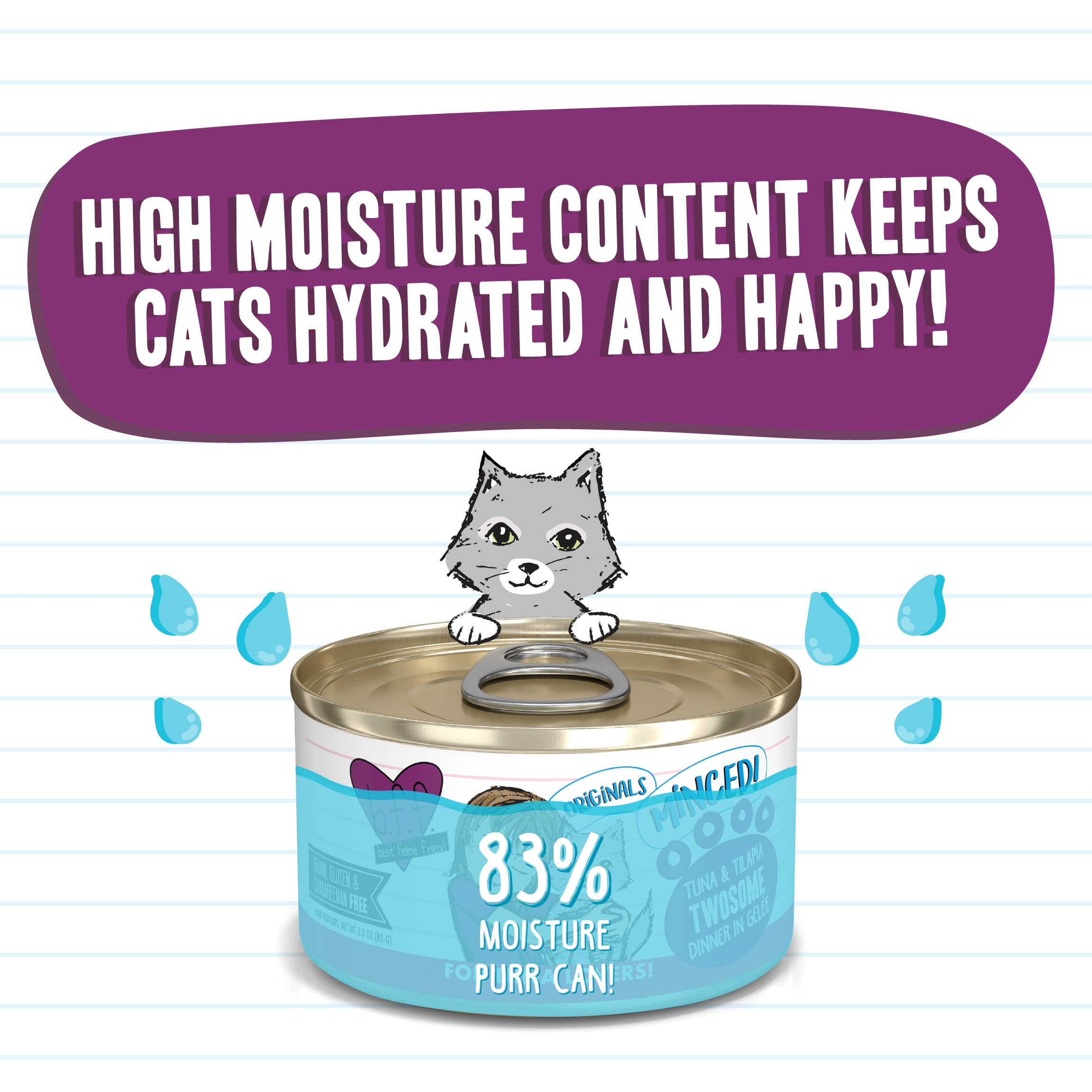 Weruva Best Feline Friend (B.F.F.) Grain-Free Cat Food, Tuna & Tilapia Twosome, 3-Ounce Can (Pack of 24)