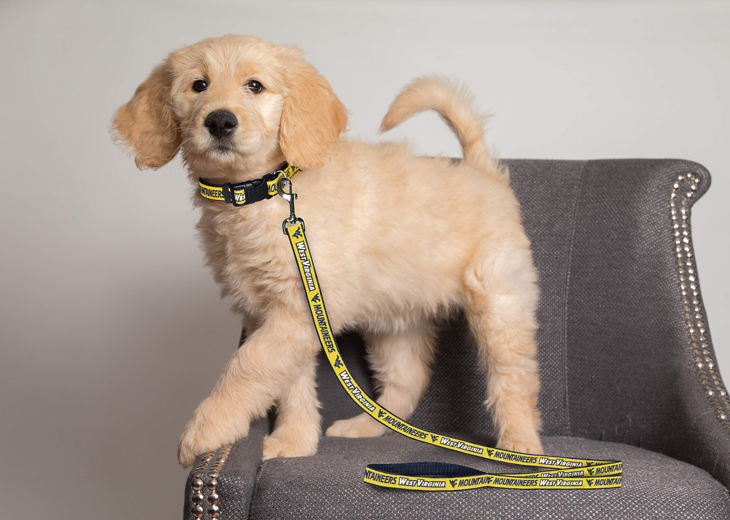 Pets First Collegiate Pet Accessories, Dog Leash, West Virginia Mountaineers, Large