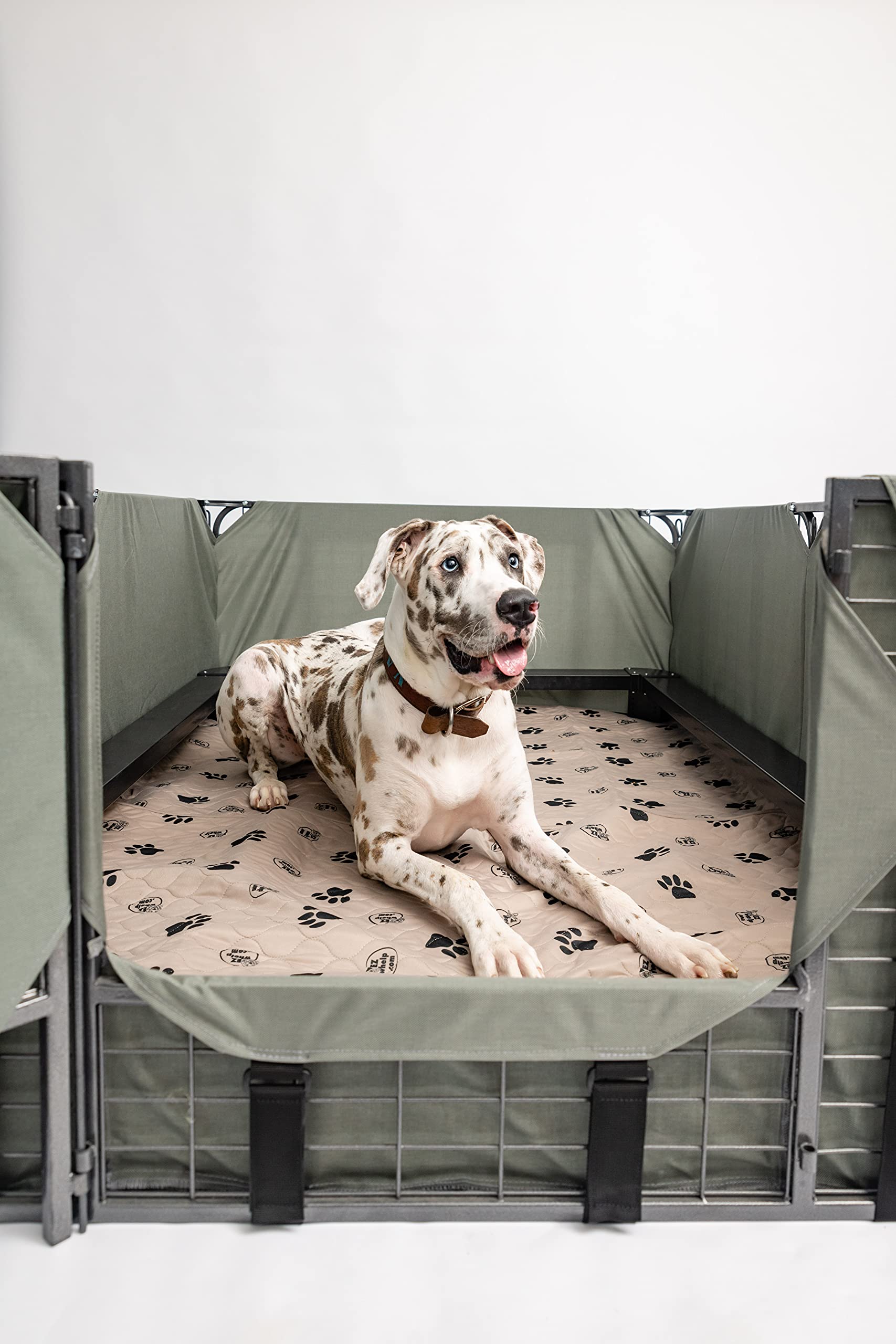 Ezwhelp Reusable Dog Pee Pads, Washable Waterproof Mats For Potty Training Or Whelping Pads, Puppy Pad With Rounded Corners, 36X48 Inch, 2 Pack