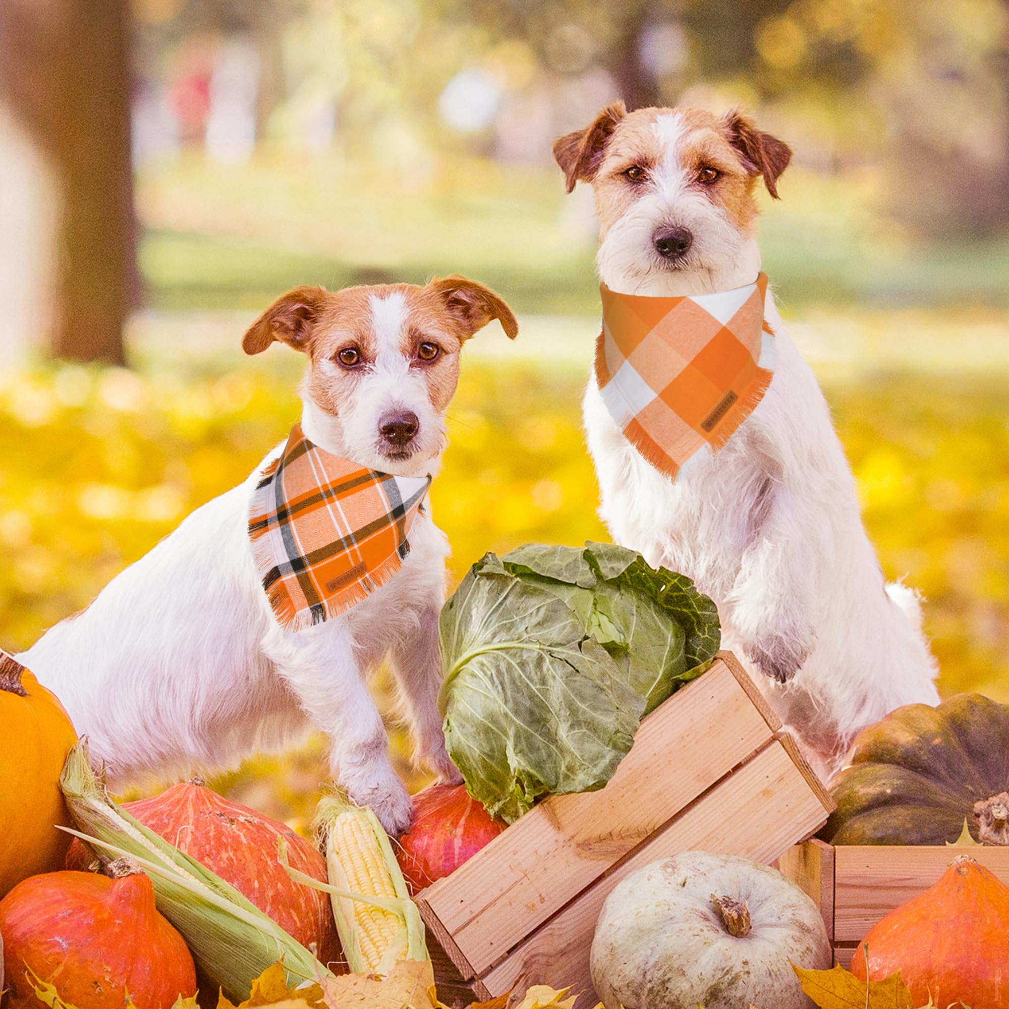 Adoggygo Fall Dog Bandanas, Halloween Thanksgiving Dog Bandana, Orange Plaid Dog Scarf, Multiple Sizes Offered, Fall Holiday Bandana For Small Dogs Pets (Fall, Small)