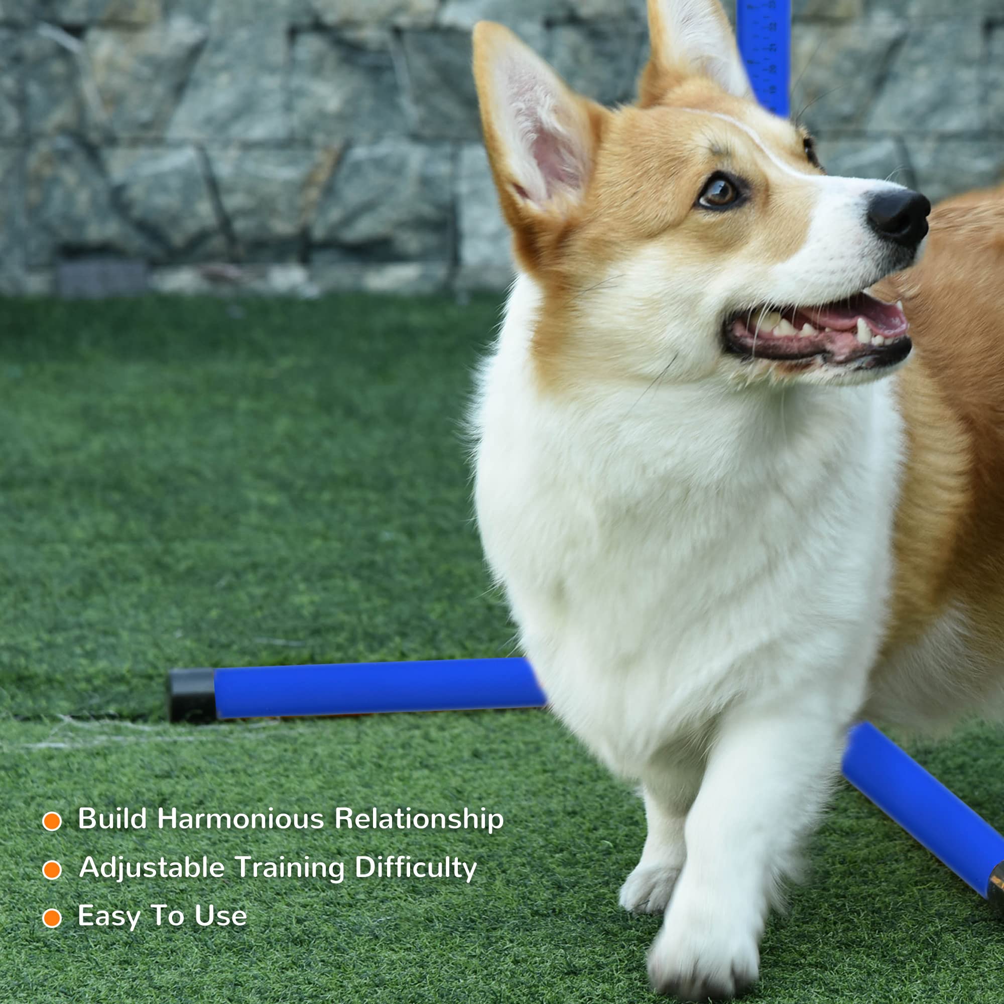 Pawhut 4 Piece Dog Agility Training Equipment For Dog Agility Course With Adjustable Height Jump Bars, Included Carry Bag, & Displacing Top Bar, Blue