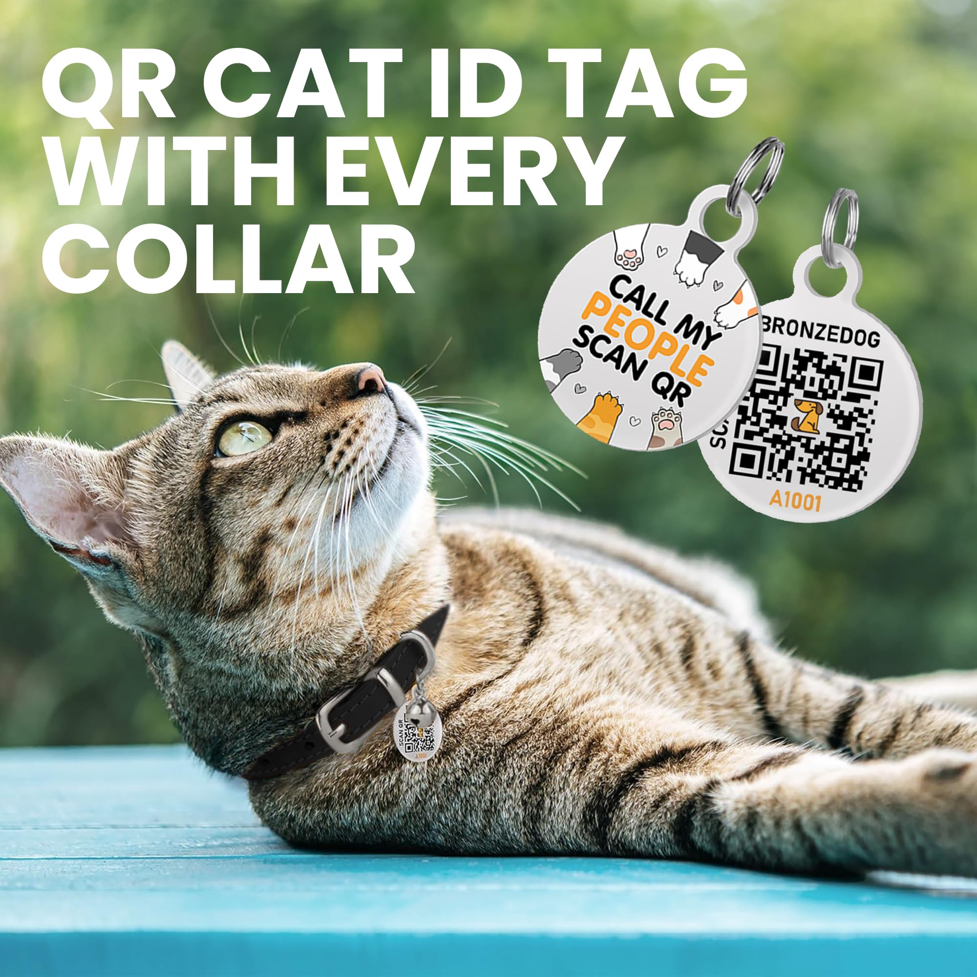 Bronzedog Leather Cat Collar With Removable Bells Non Breakaway Kitten Qr Tag For Girl Boy (7' - 9' For Cats, Black & Silver)