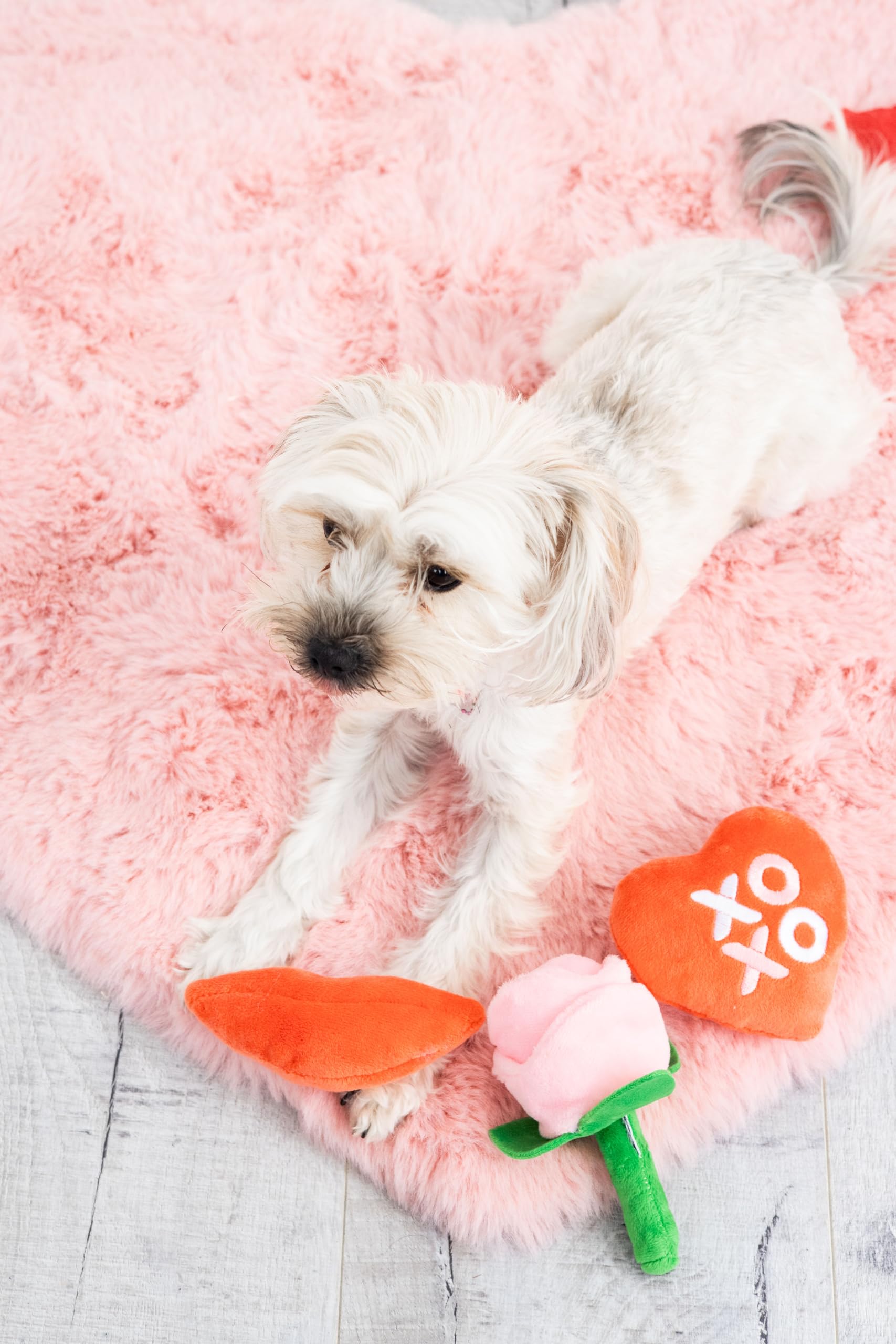 Pearhead Valentines Day Dog Toy Set, Holiday Pet Toys, Stuffed Plush Crinkle and Squeaky Toys for Dogs, Interactive Playtime fo