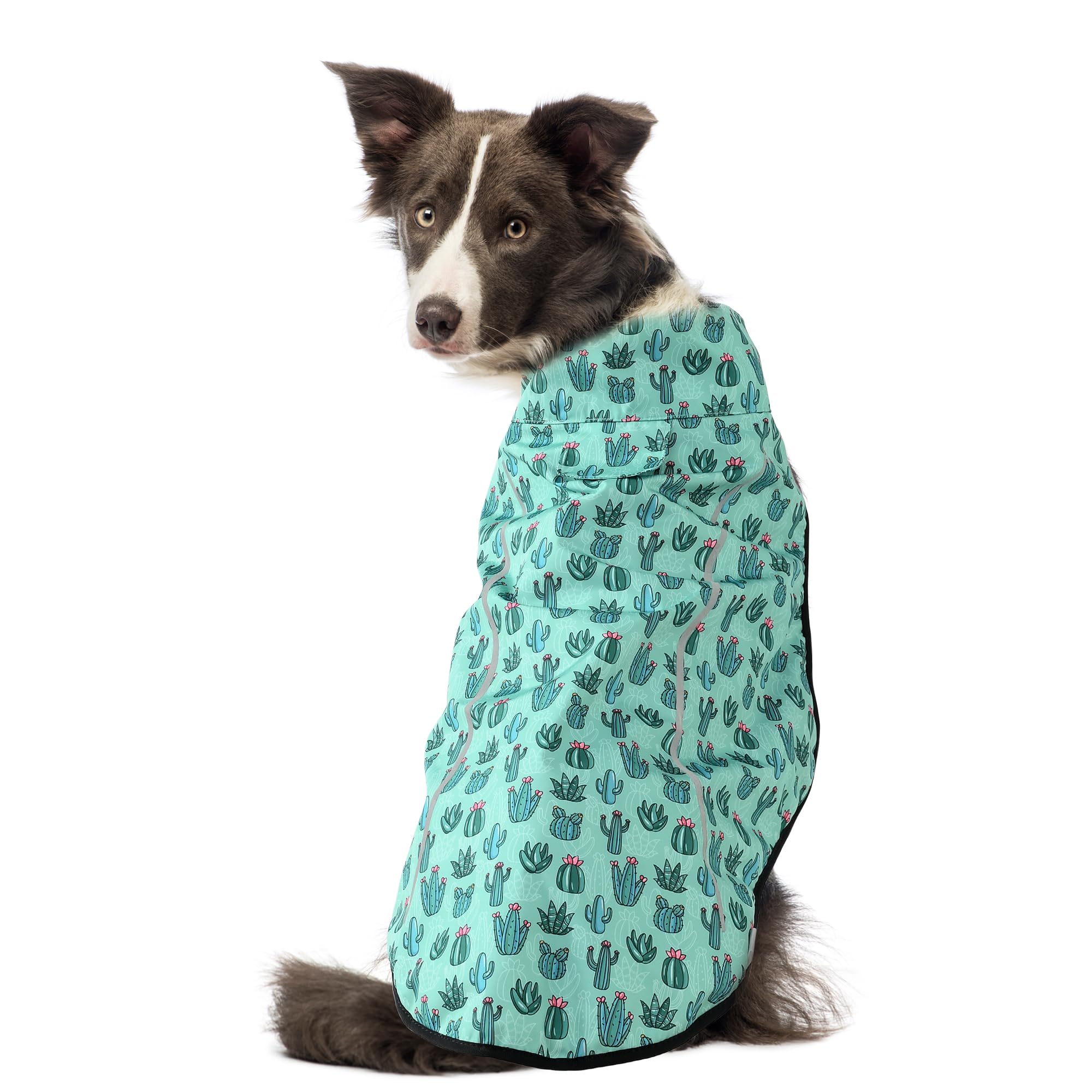 Mile High Life | Dog Raincoat | Adjustable Water Proof Pet Clothes | Lightweight Rain Jacket with Reflective Strip | Easy Step i