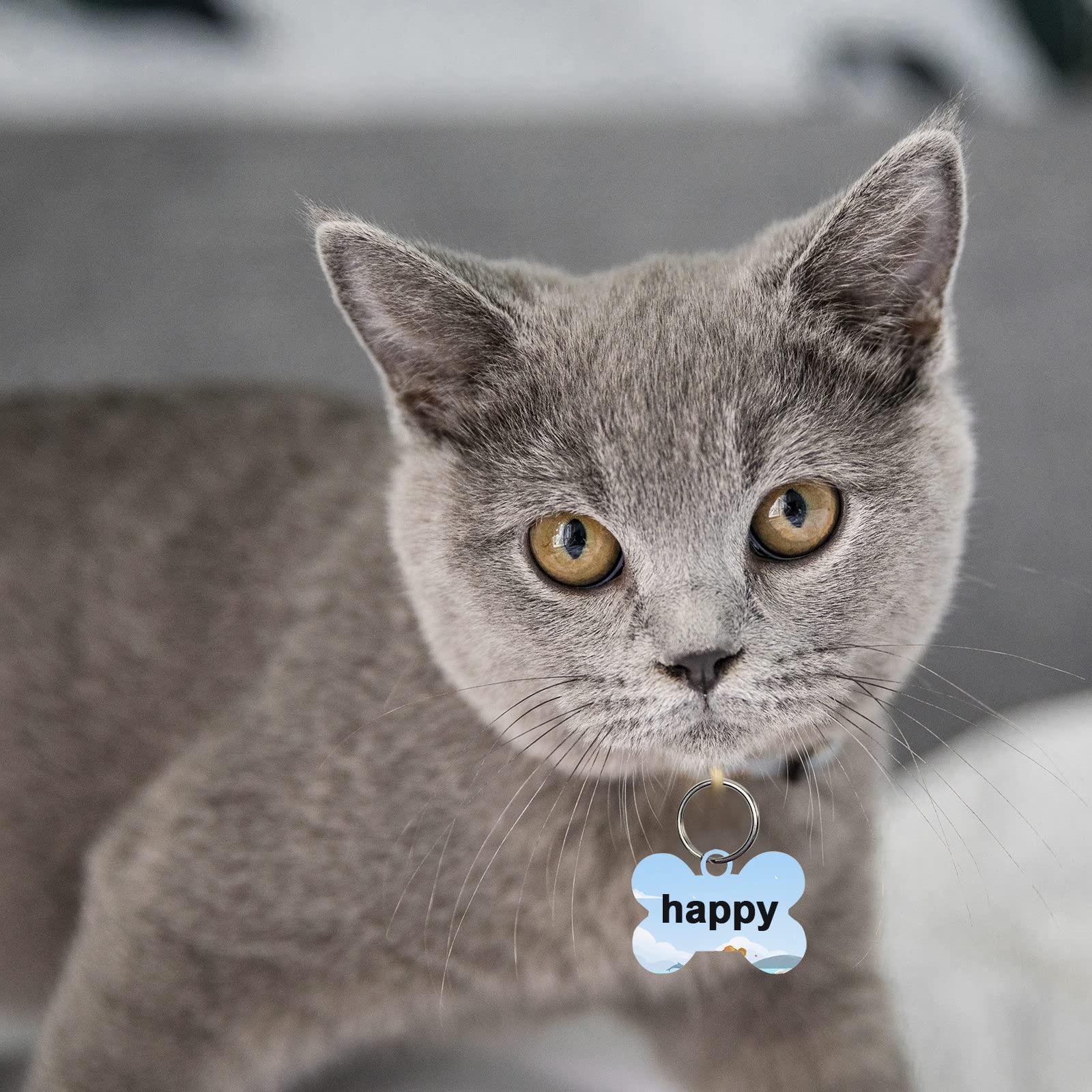 50 Pcs Sublimation Blank Dog Tags Bone Shaped Diy Double Sided Aluminum Dog Id Tags Bone Shaped Pet Name Tags Dog Collar Tags With Dogs And Cats