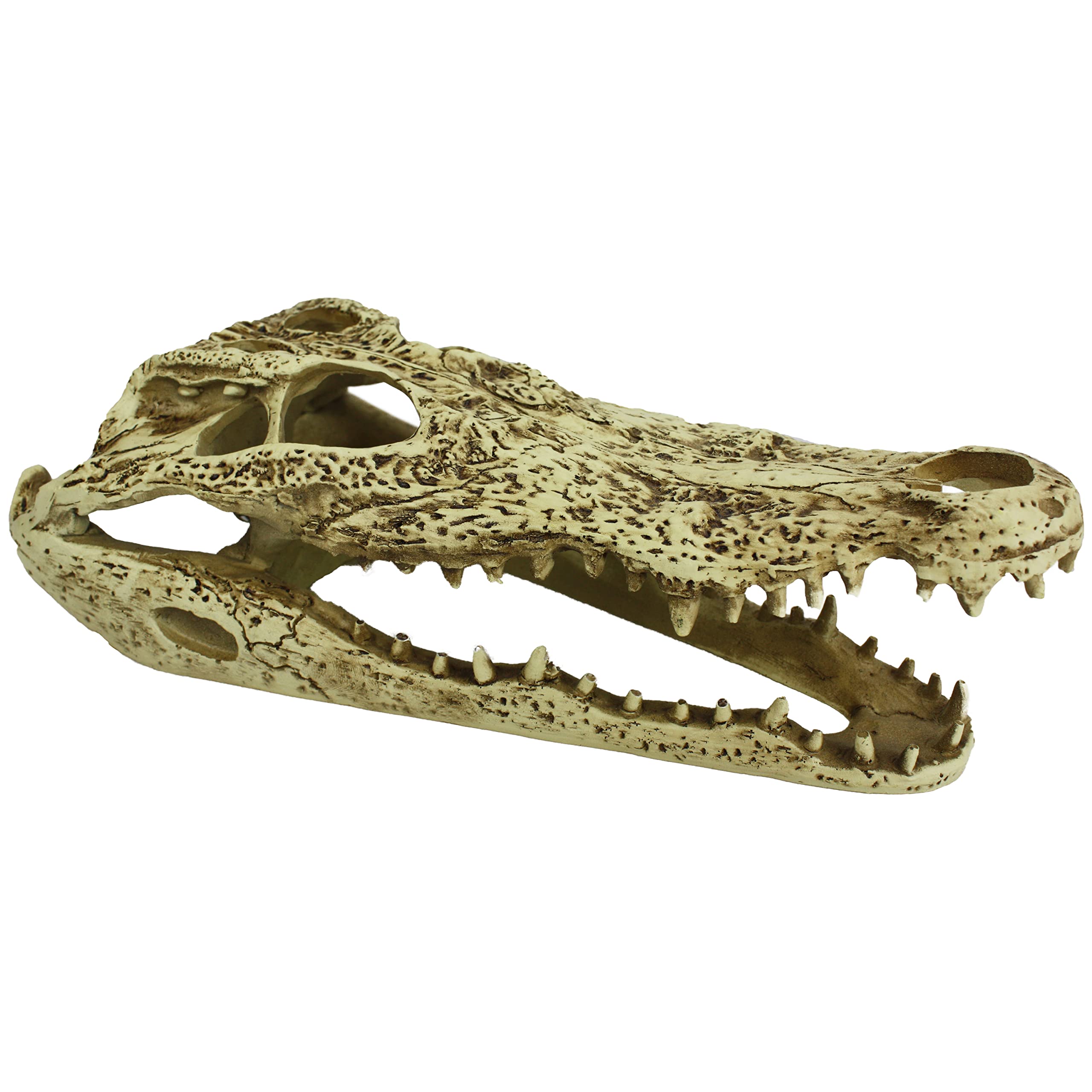 Komodo Reptile Terrarium Realistic Alligator Skull Ornament Decor | Easy To Clean Under Water Aquarium Or Dry Habitat Decoration Accessory, 9 Inches