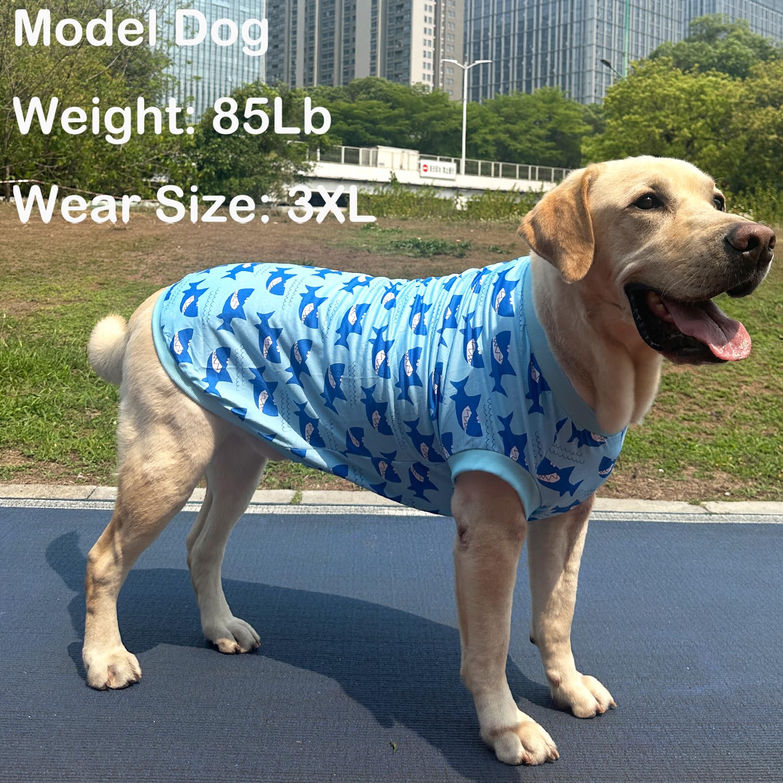Dog Sleeveless T Shirt Shark Prints Vest Shirt Soft Stretchy Summer Clothes For Extra Large Dog Boys Girls Shirt 2X-Large,Shark
