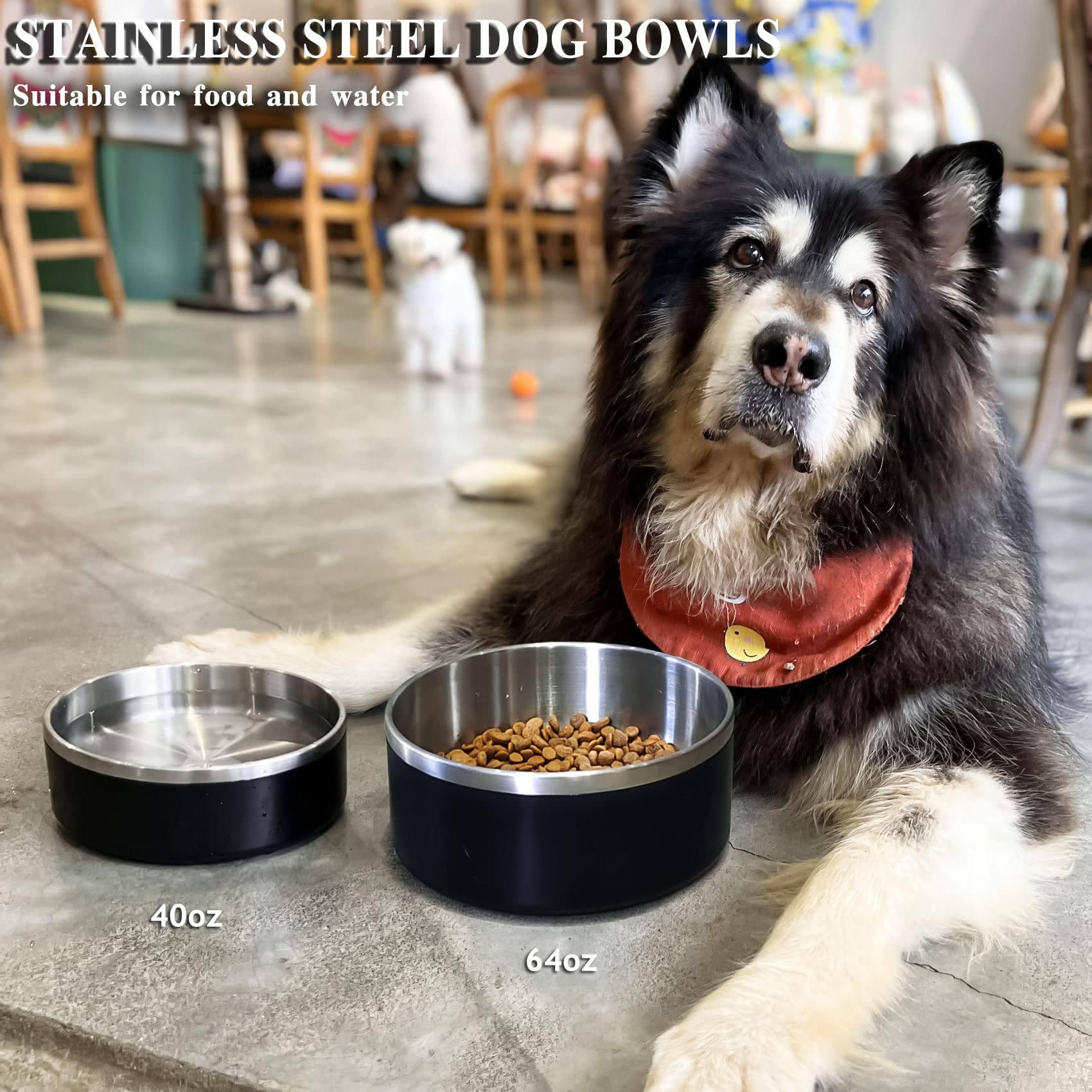 IKITCHEN Dog Bowl for Food and Water, 40 Oz Stainless Steel Pet Feeding Bowl, Durable Non-Skid Double Wall Insulated Heavy Duty