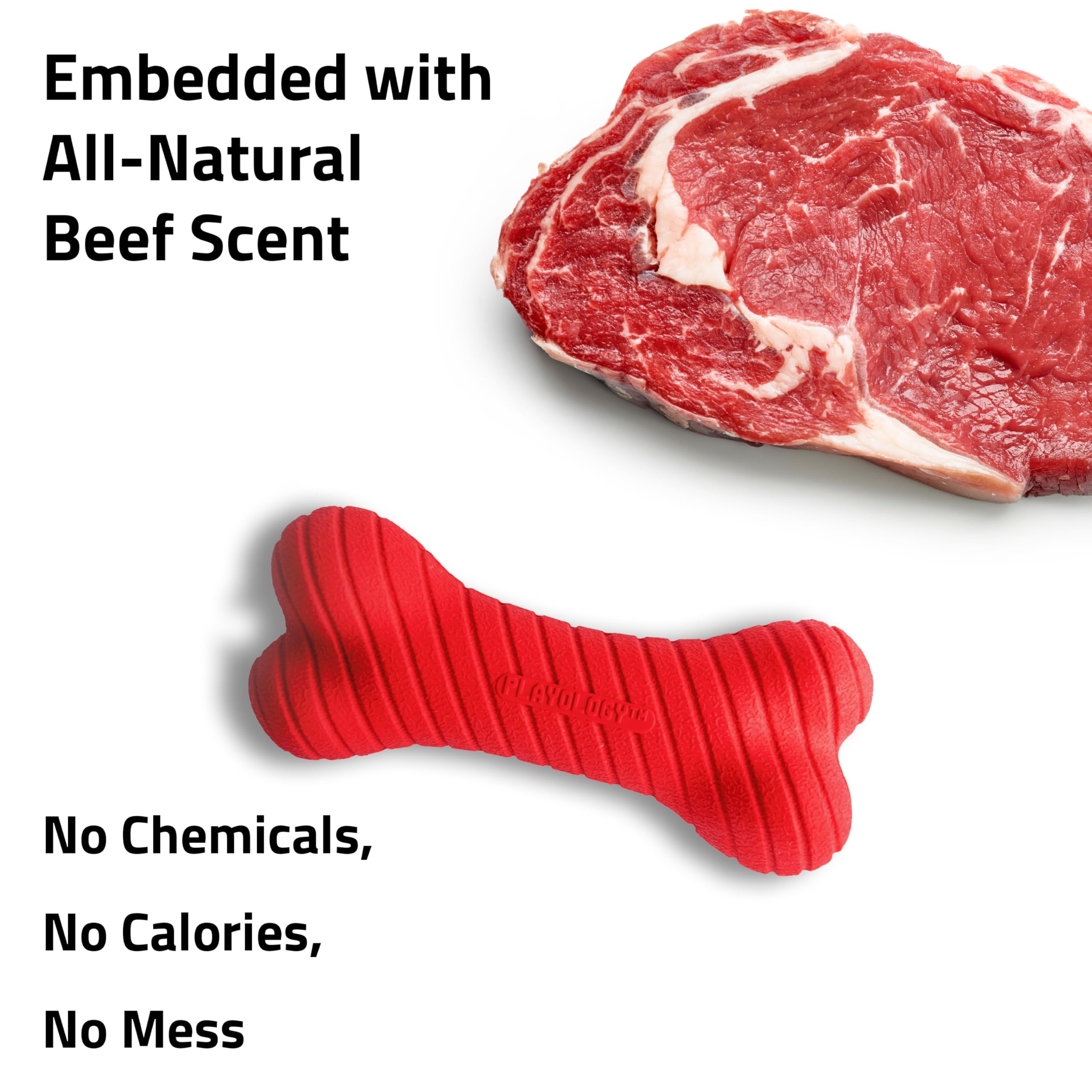 Playology Dog Toys | Dual Layer Bone Chew Toy Bone for Dogs (Value 2-Pack) | Medium Beef Scented Toy - Easy to Clean and Made fr