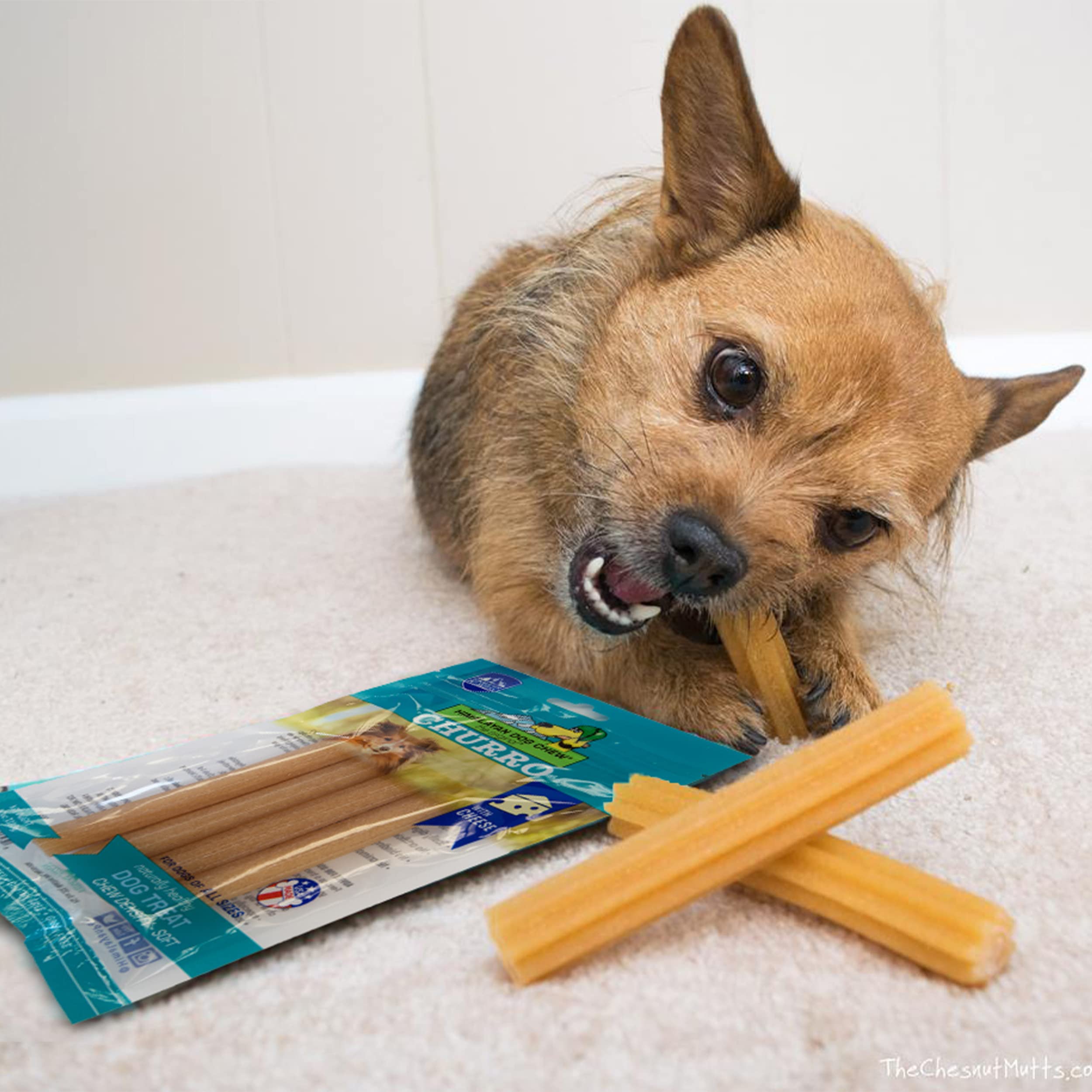 Himalayan Pet Supply Churro Himalayan Cheese Treats | Cheese Churro | Lactose Free - Gluten Free - Grain Free | USA Made | for A
