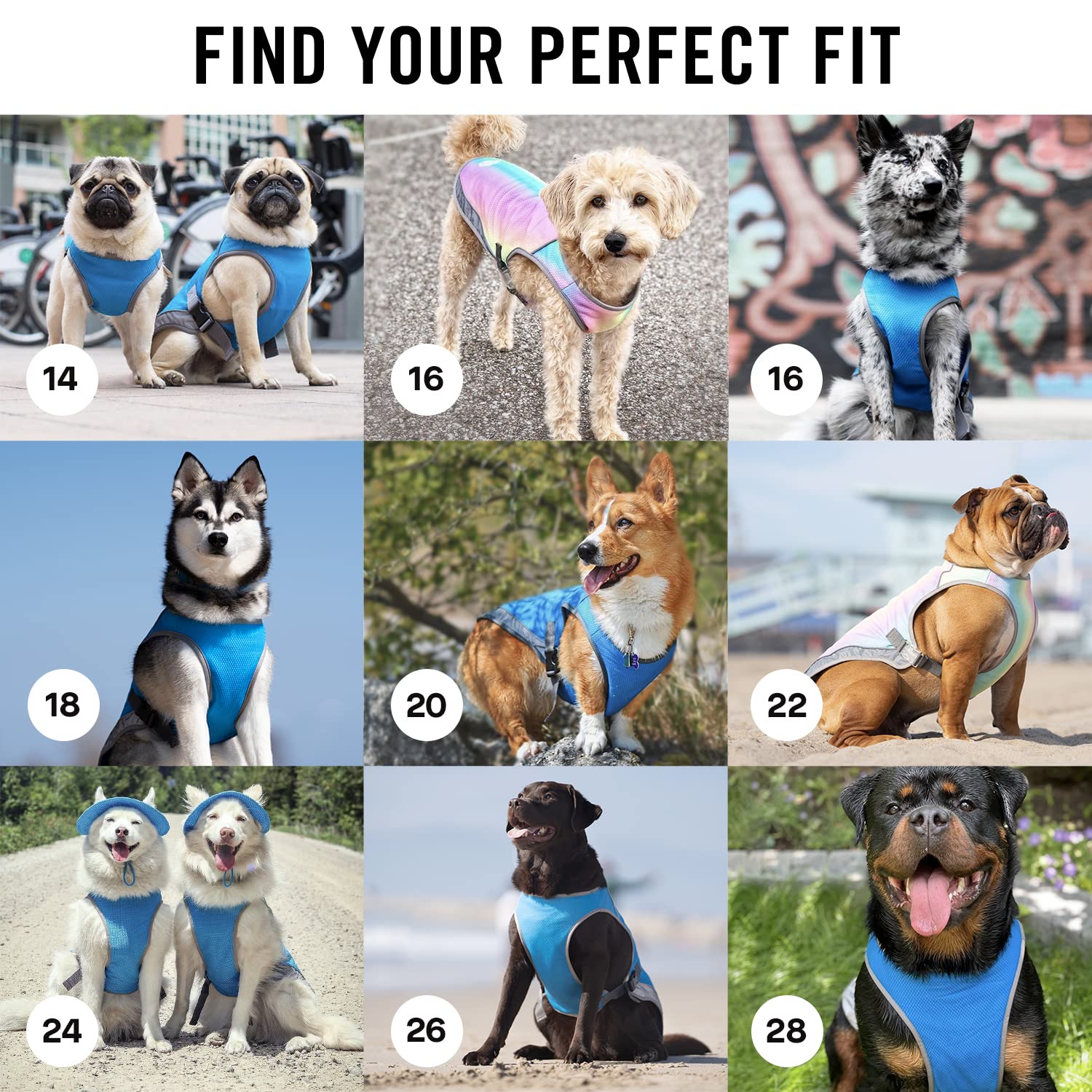 Canada Pooch Dog Cooling Vest - Evaporative Cooling Vest For Dogs With Breathable Mesh Material & Reflective Lining, Adjustable Dog Cooling Vest Great For Dogs 12 (11-13' Back Length), Aqua