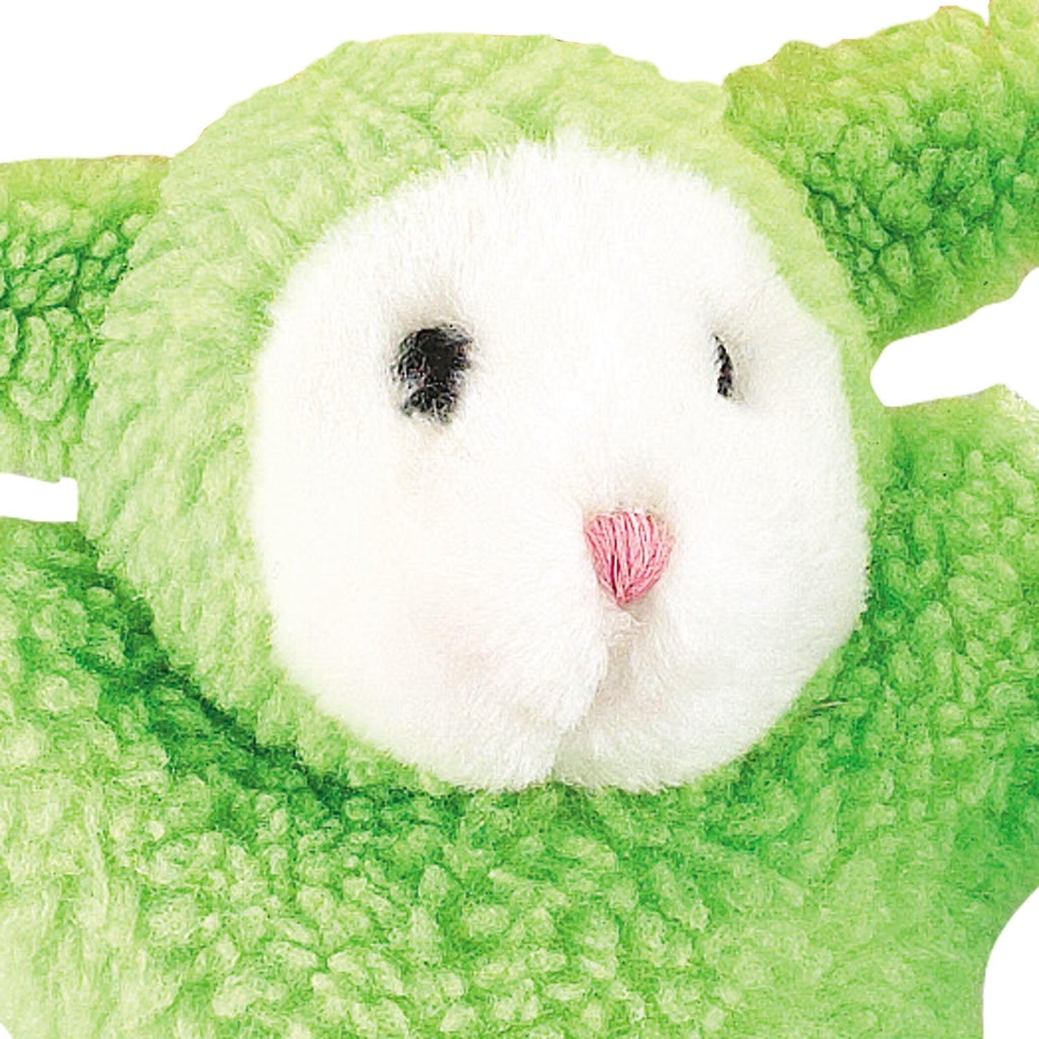 Zanies Cuddly Berber Baby Lamb Dog Toys, Green 8-Inch