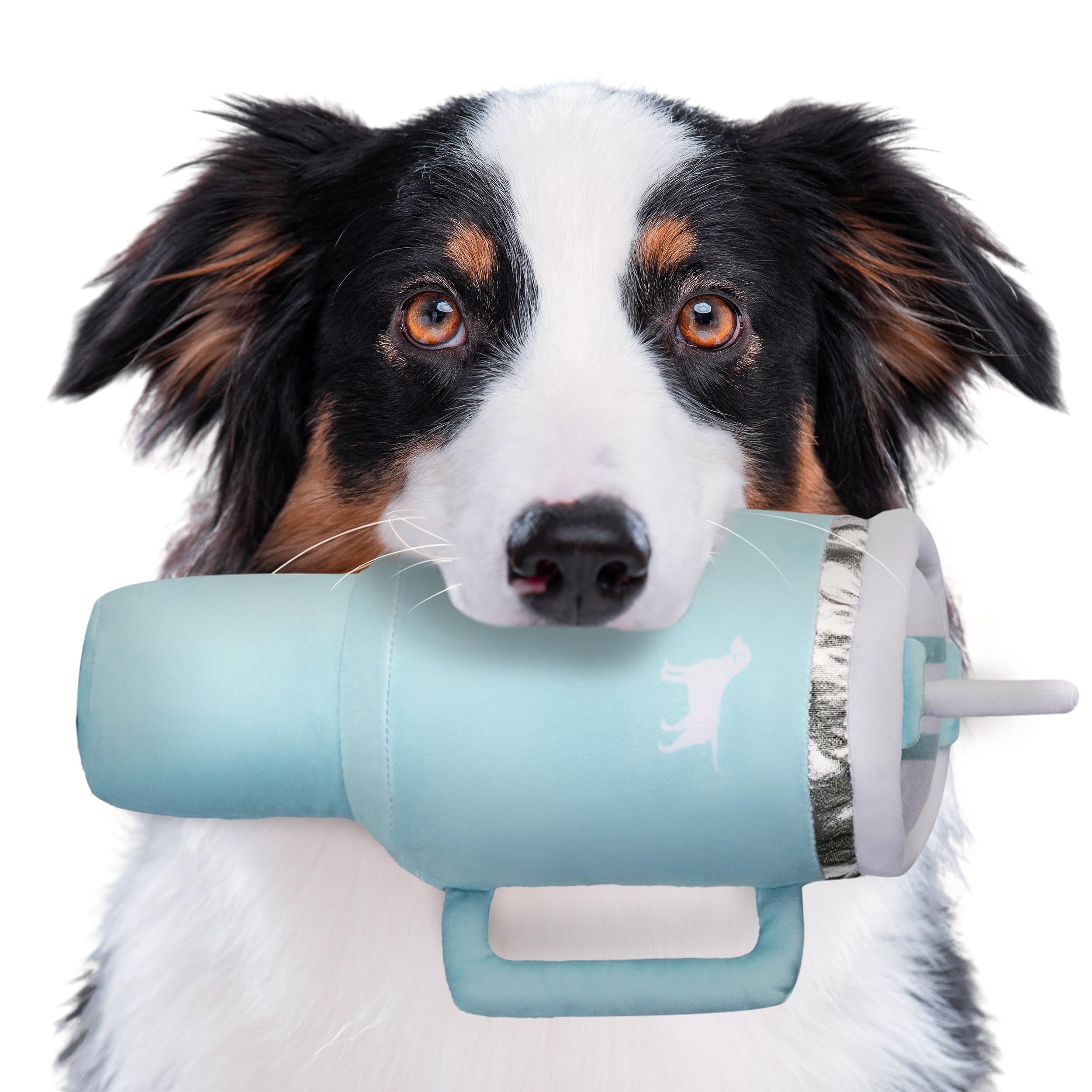 Puproar Pup Cup Tumbler Dog Toy - Funny Birthday Dog Toy For Girl Dogs Or Puppies, Cute Squeaky Plush Gift (Mint Green)