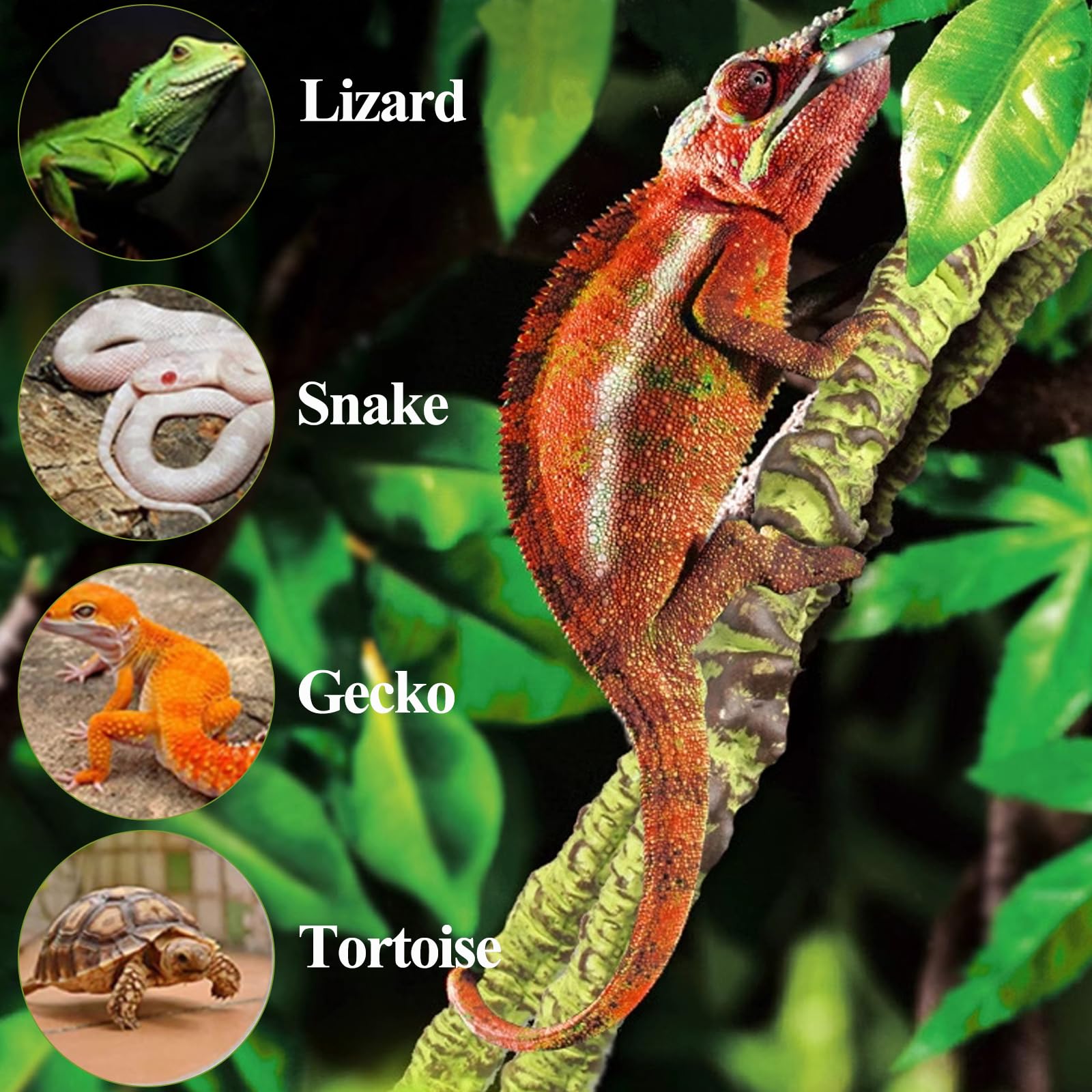 Hercocci Reptile Plants, Terrarium Hanging Plant Climbing Vines Reptile Hide Leopard Gecko Tank Accessories, Terrarium Decoratio