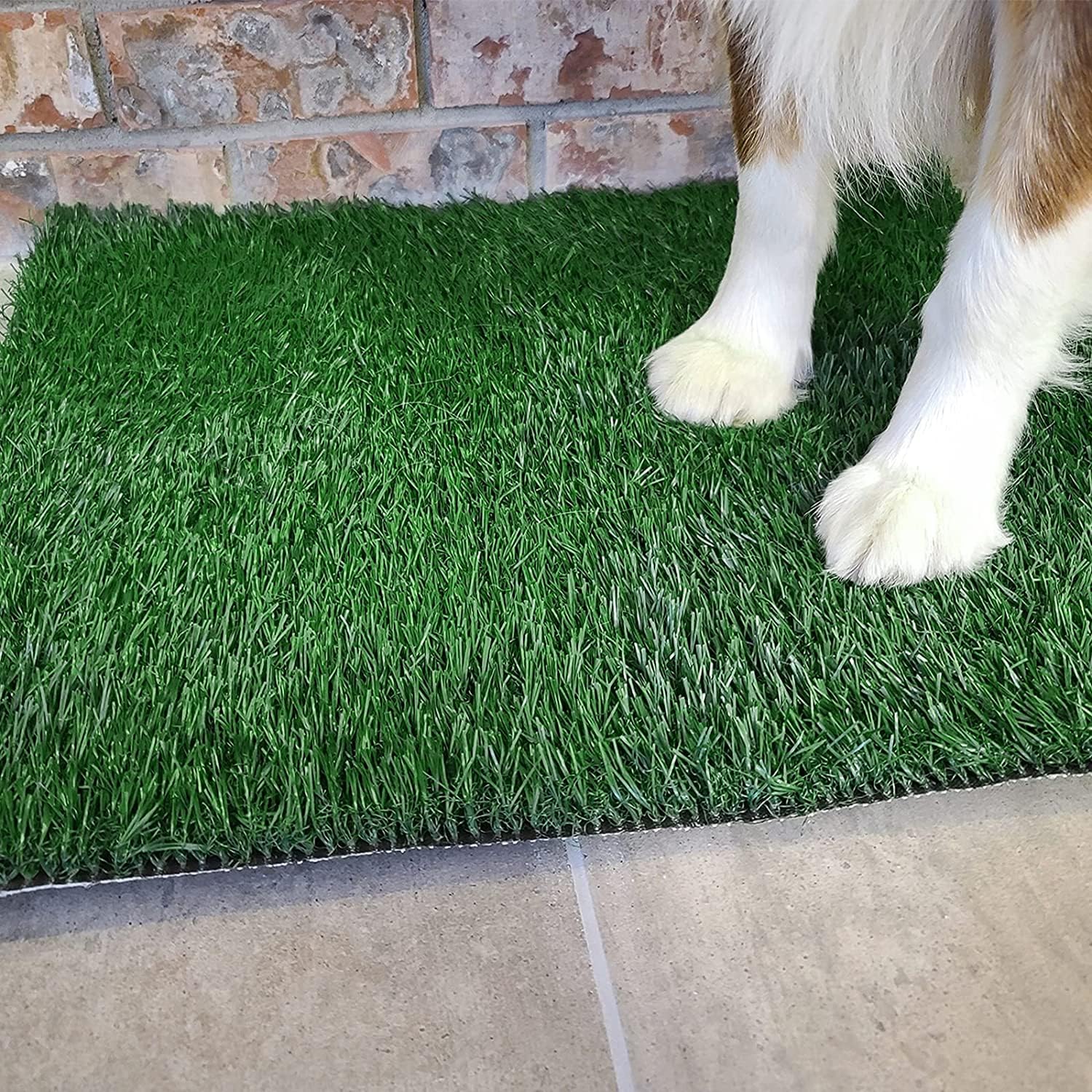 Dog Grass Pet Loo Indoor/Outdoor Portable Potty, Dog Litter Box, Artificial Grass Patch Bathroom Mat and Washable Pee Pad for Pu