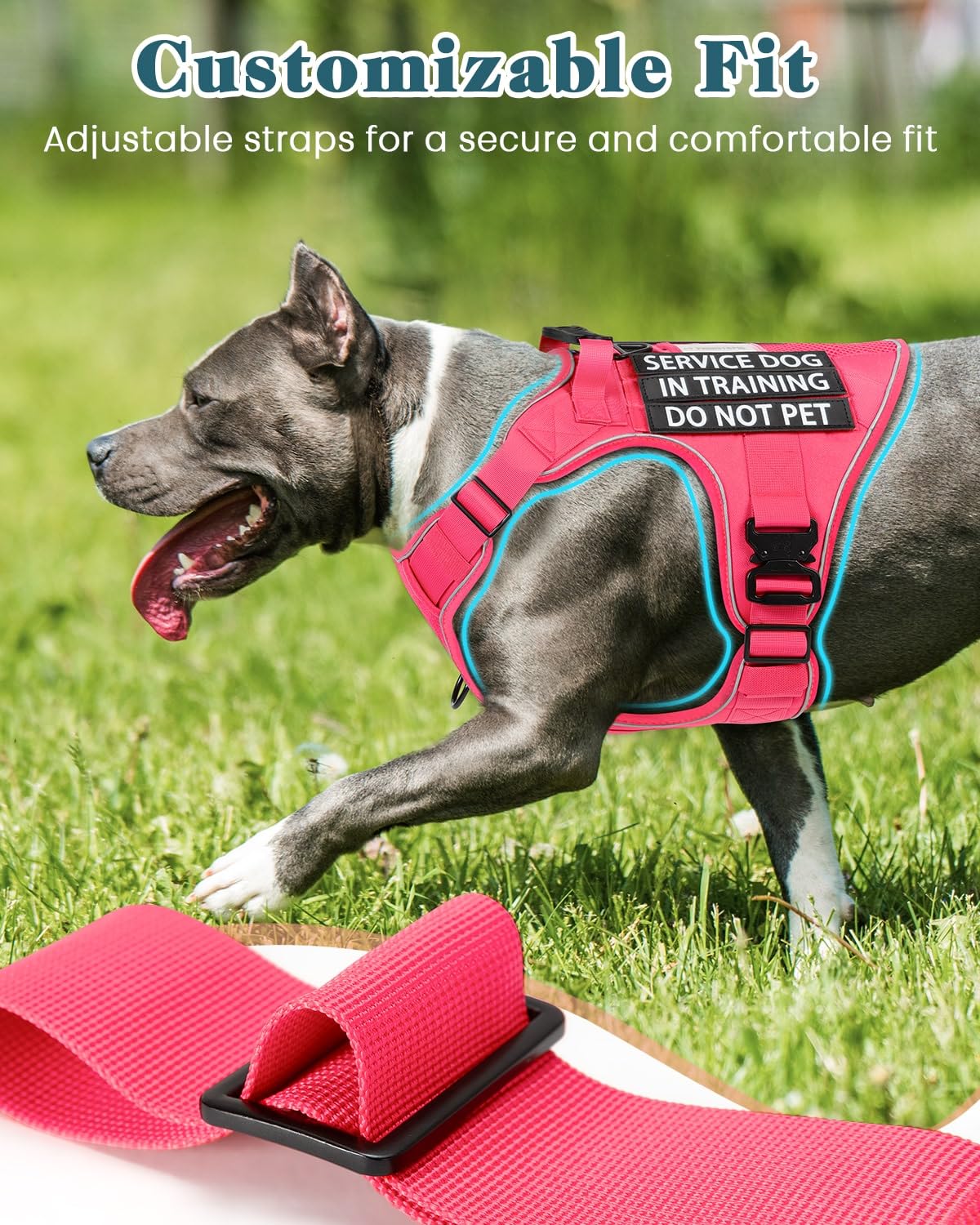 Reflective Pink Service Dog In Training Vest Harness For Medium Dogs, Adjustable Heavy Duty Padded Dog Harness, With Front Clip