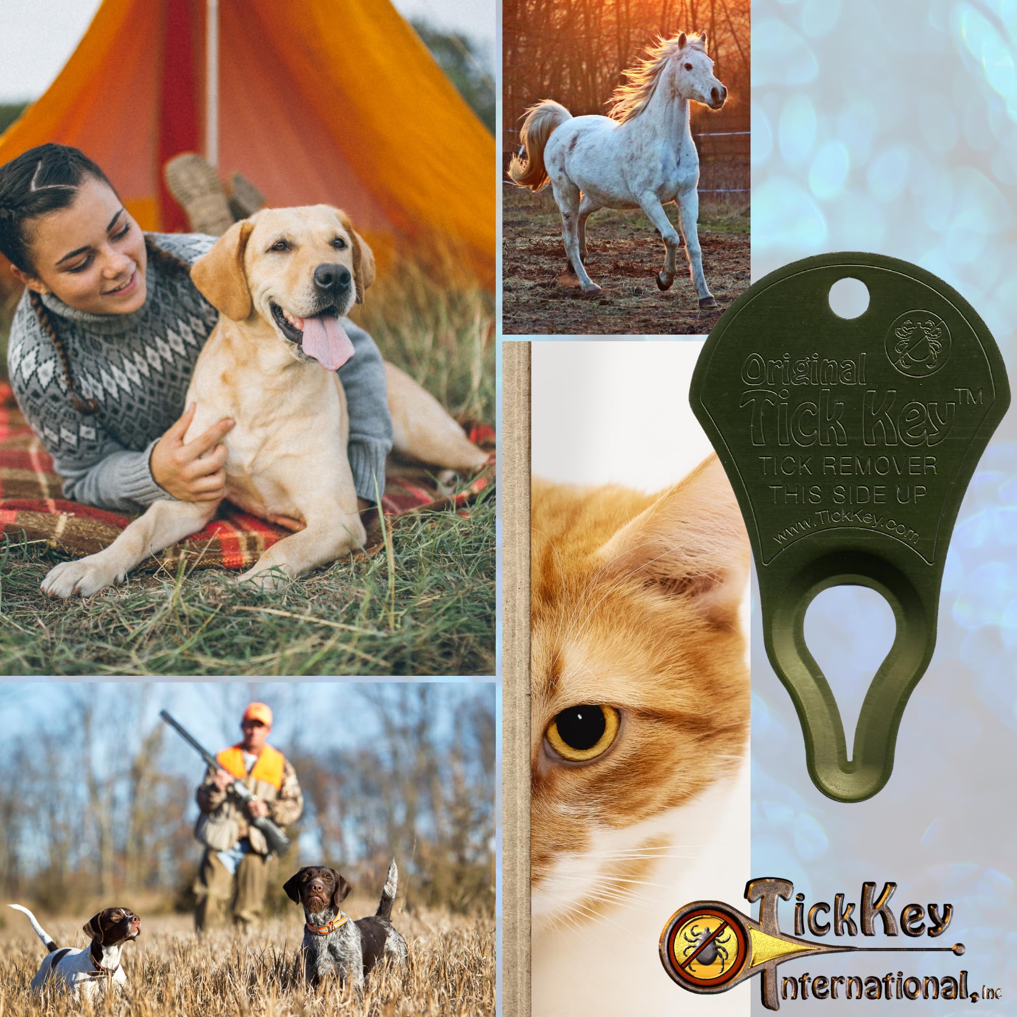 The Original Tick Key - Tick Detaching Device - Portable, Safe And Highly Effective Tick Detaching Tool (Olive Green Drab)
