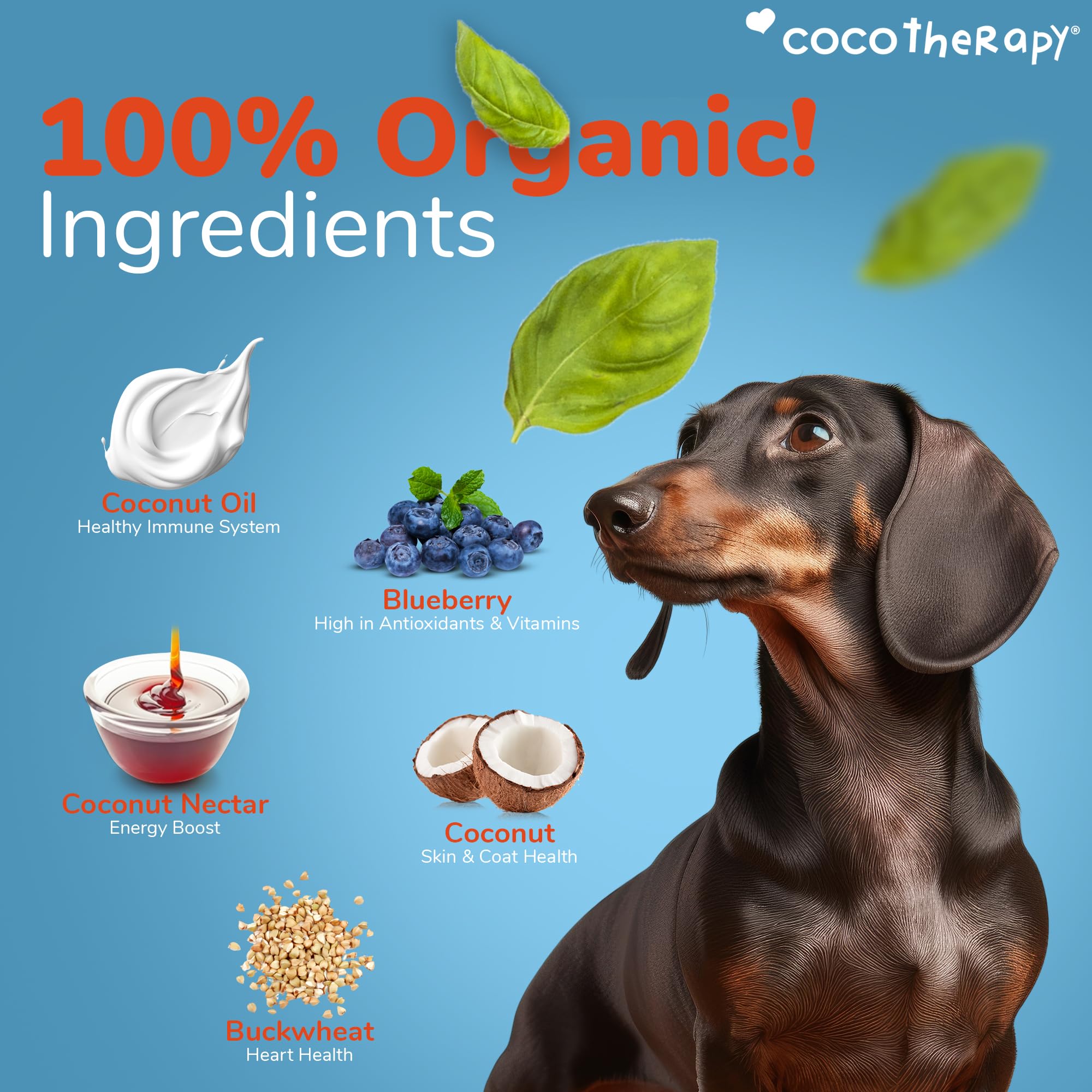 Cocotherapy Coco-Charms Blueberry Cobbler - Organic Dog Treats, All Natural, Vegan Training Treat for Dogs with Organic Coconut