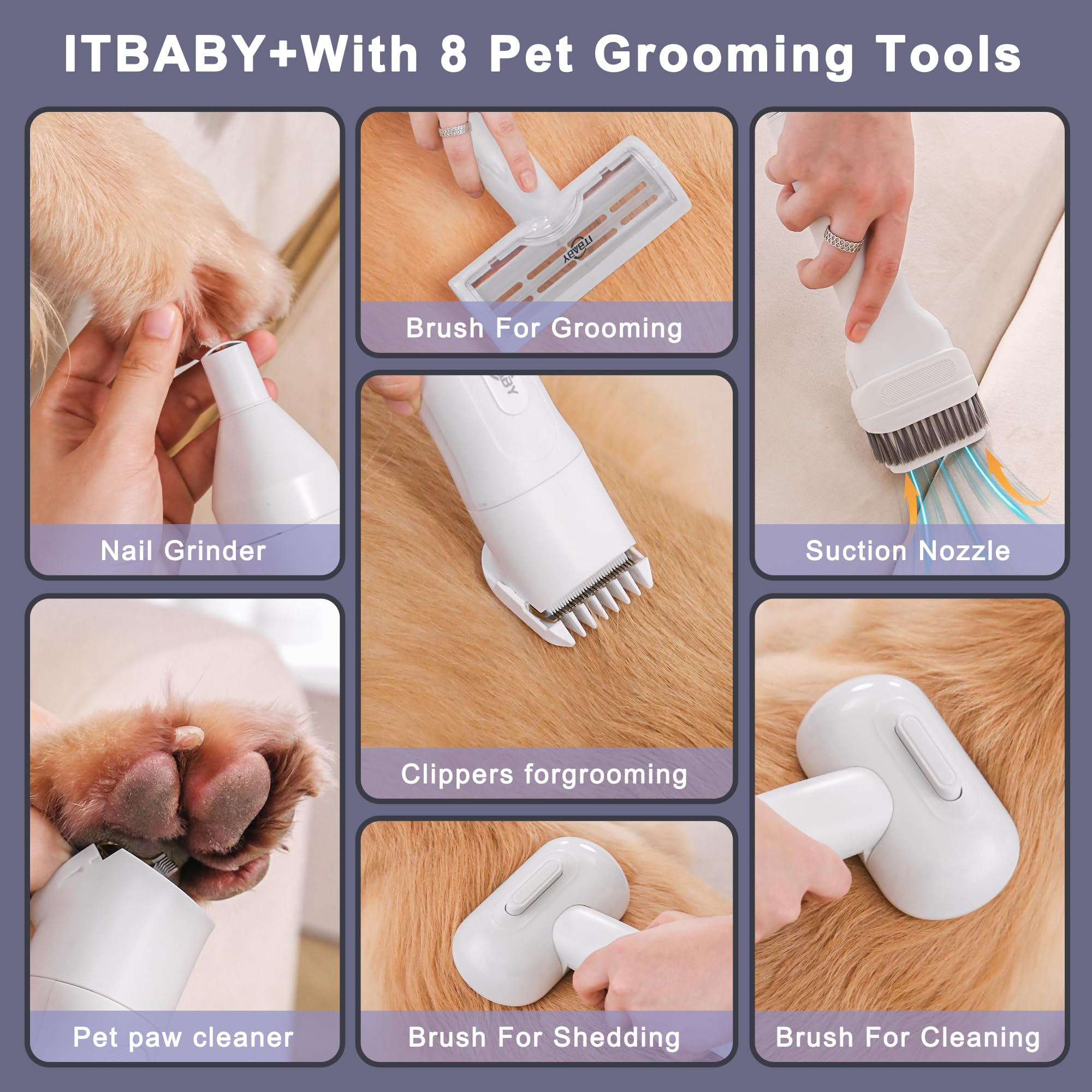 Itbaby 2.5L Dog & Cat Grooming Kit - Professional Clippers With 8 Tools, Quiet Pet Vacuum Groomer (White)