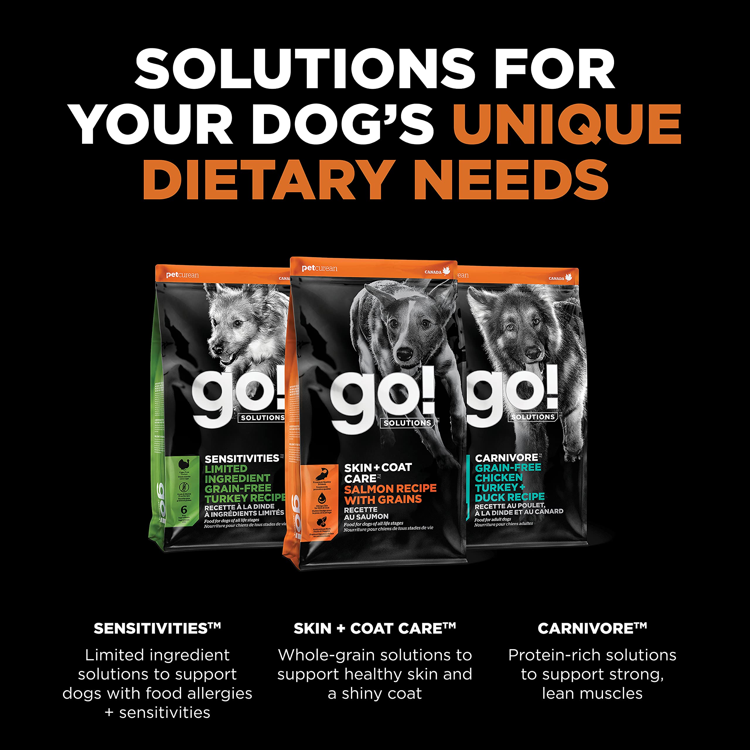 Go! Solutions Dry Dog Food, Salmon Recipe with Grains, 22 lb Bag, Brown