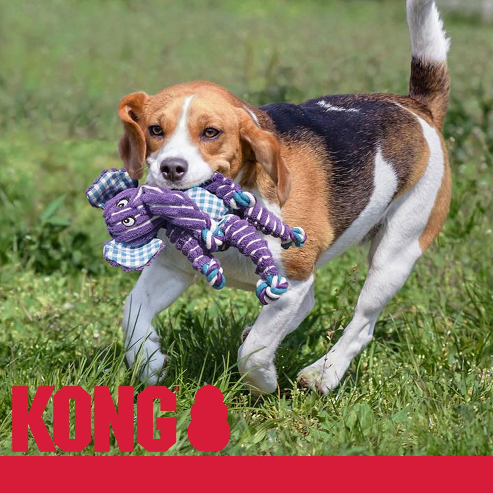 Kong Floppy Knots Combo Dog Toy - Hippo And Elephant Bundle - Interal Knotted Rope With Squeakers And Less Stuffing - Medium/Lar