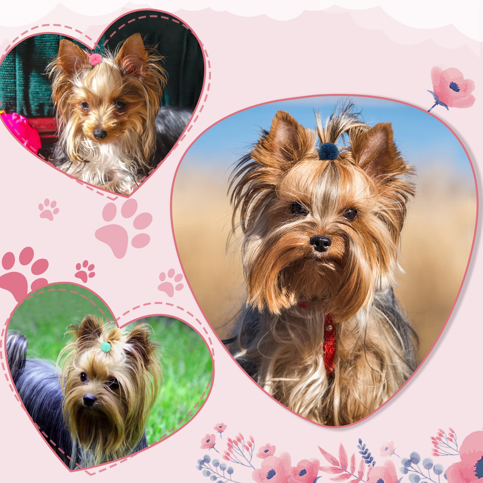 Qearl 48 Pcs Colored Ball Bows With Rubber Bands - Pet Hair Accessories For Dog, Puppy, And Cat Grooming