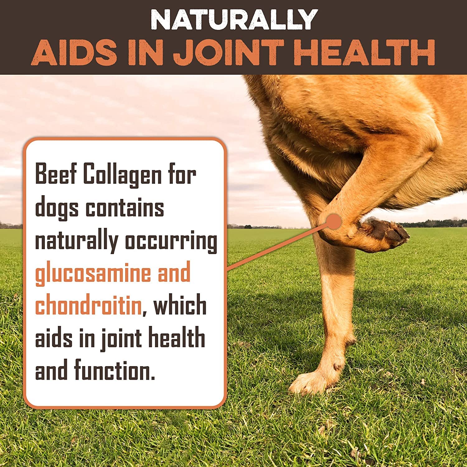 Beef Collagen Sticks For Dogs - Great Long Lasting Beef Collagen Dog Chews - Odor-Free, Natural Treat That Supports Joint Health
