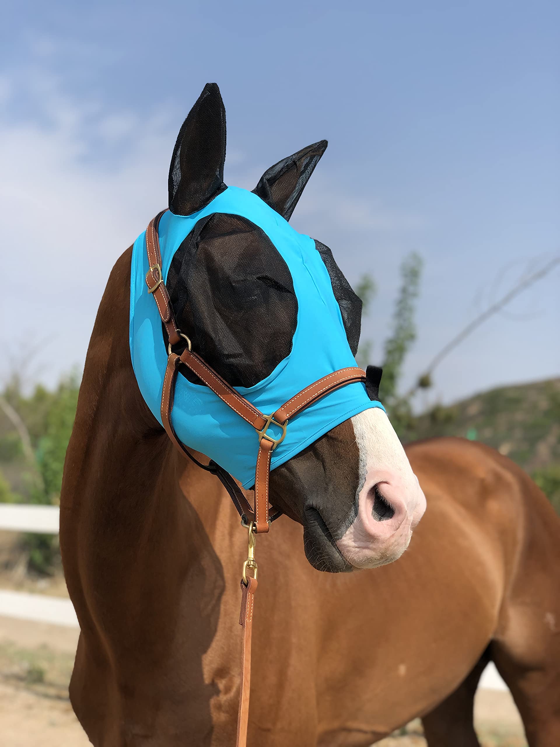 Horse Fly Mask Super Comfort Horse Fly Mask Elasticity Fly Mask with Ears We Only Make Products That Horses Like (Pacific Blue, 