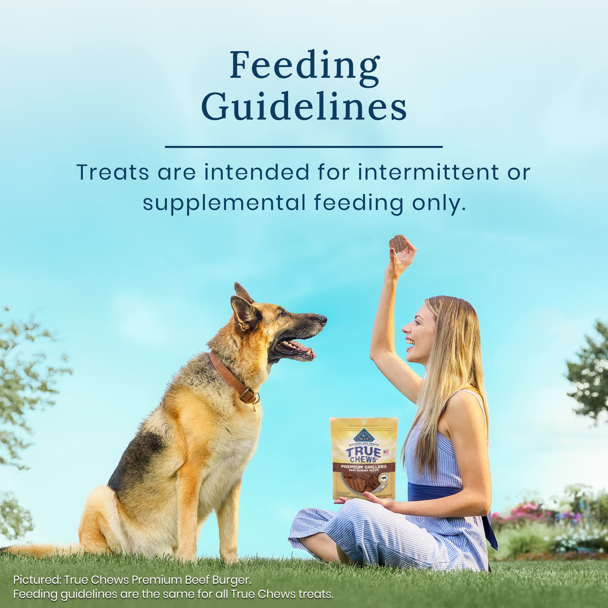 Blue Buffalo True Chews Premium Jerky Cuts Dog Treats, Made in the USA with Natural Ingredients, Duck, 12-oz Bag