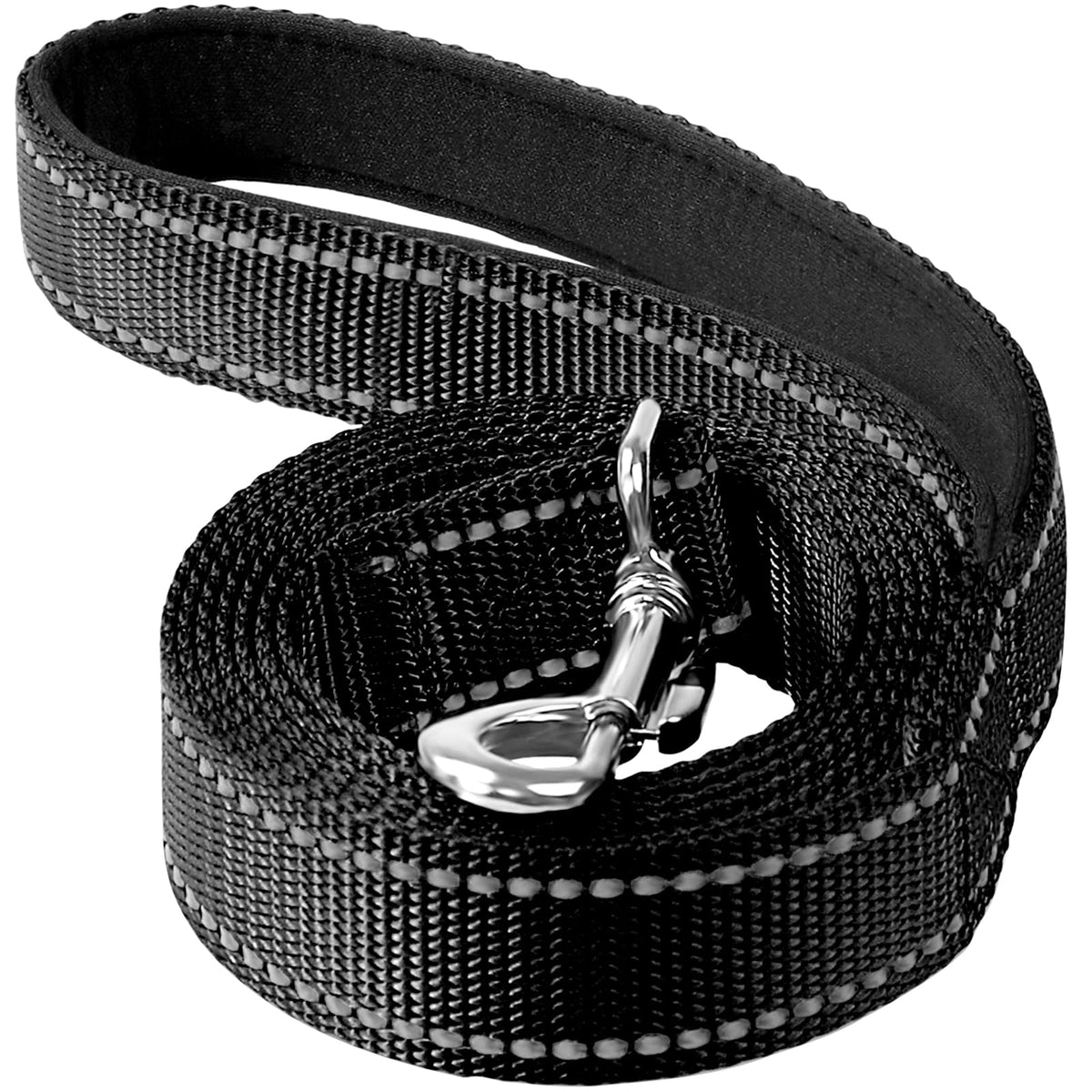 Erbine 6FT Reflective Nylon Dog Leash with Soft Padded Handle for Walking, Running and Training, Supports Small Medium and Large