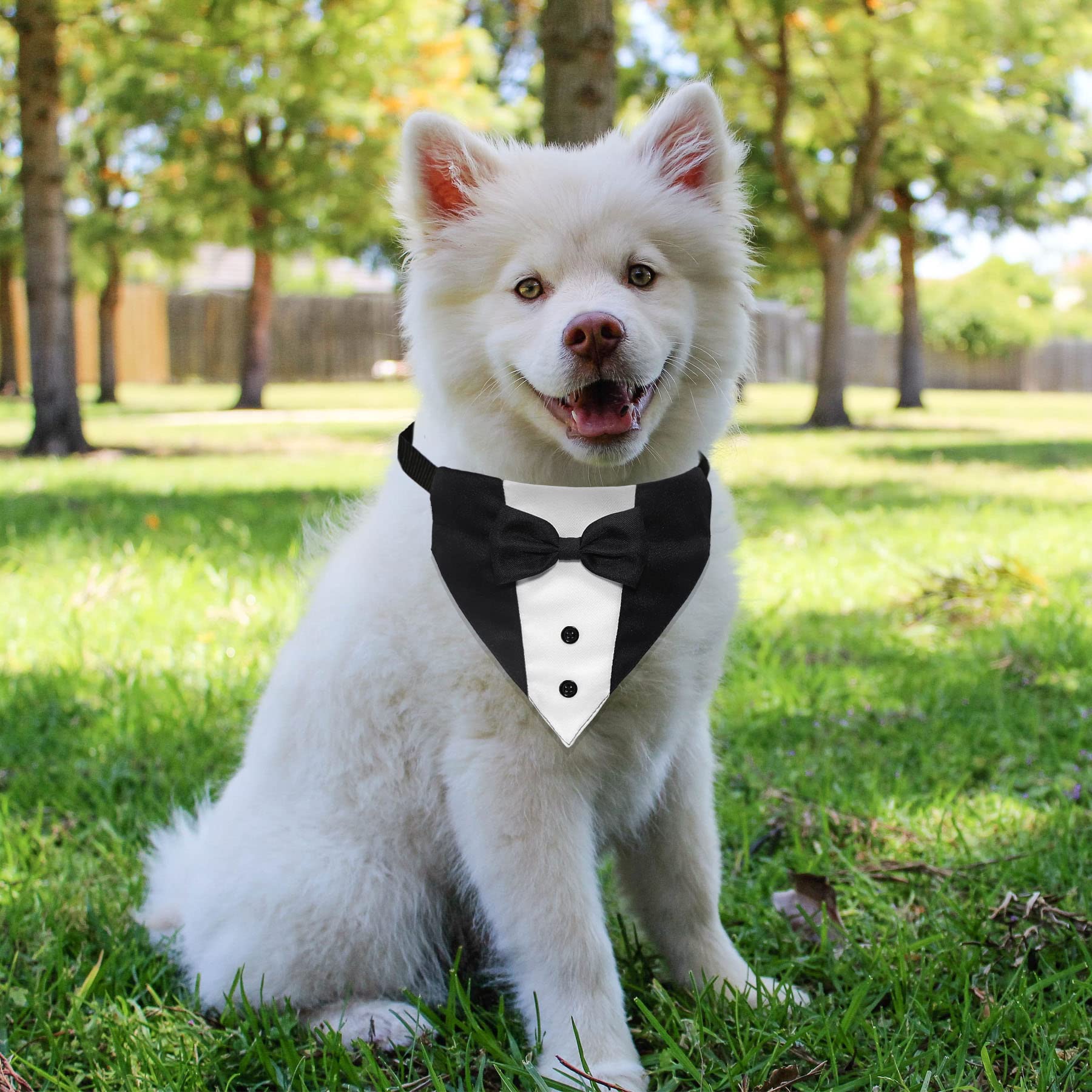 Goyoswa Dog Tuxedo Suit Wedding Bandana Collar With Bow Tie, Adjustable Formal Dog Tux, Engagement Birthday Tuxedo For Small Med