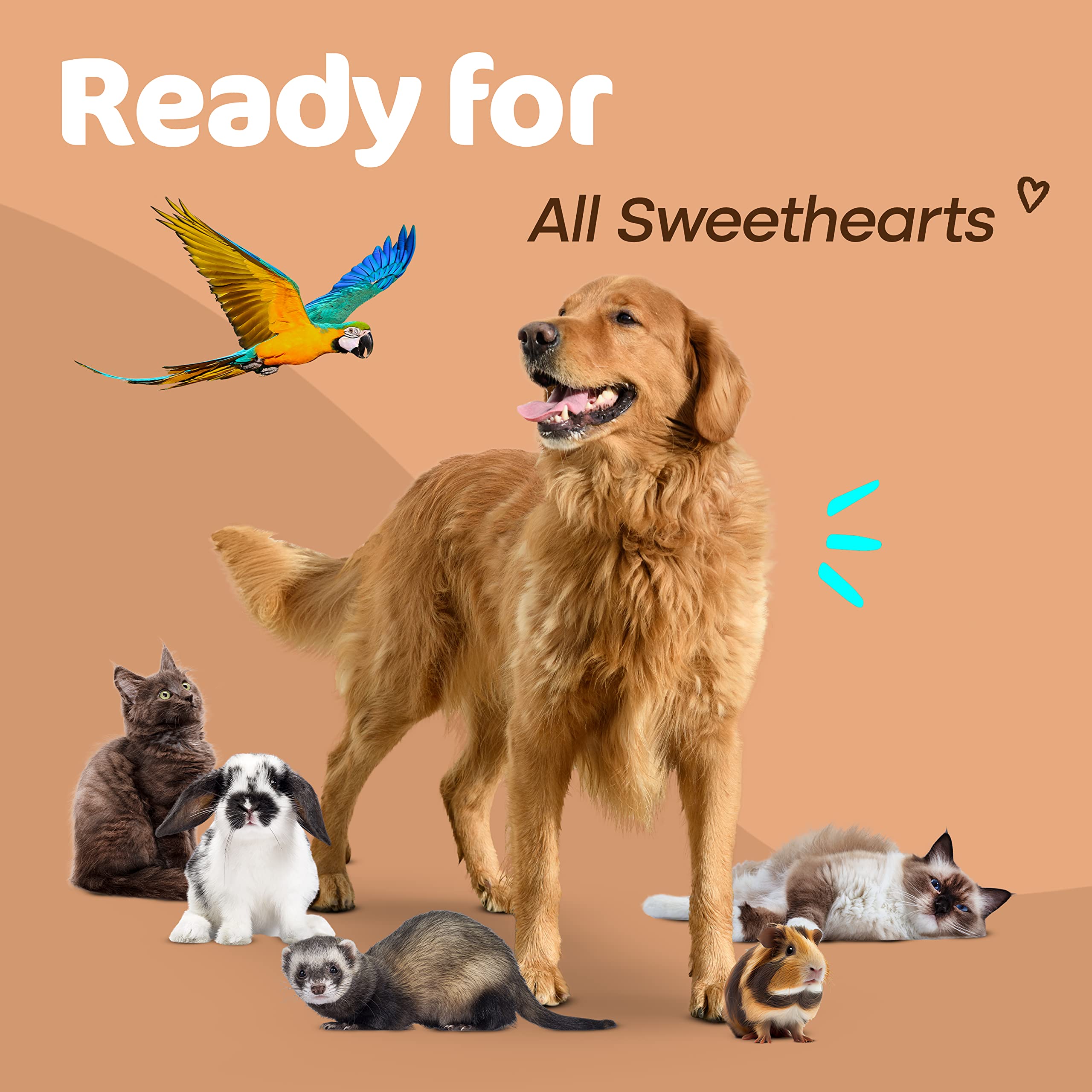 Sunny & Honey Pet Stain & Odor Miracle - Enzyme Cleaner For Dog And Cat Urine, Feces, Vomit, Drool (Fall Spice Scent, 32 Fl Oz)