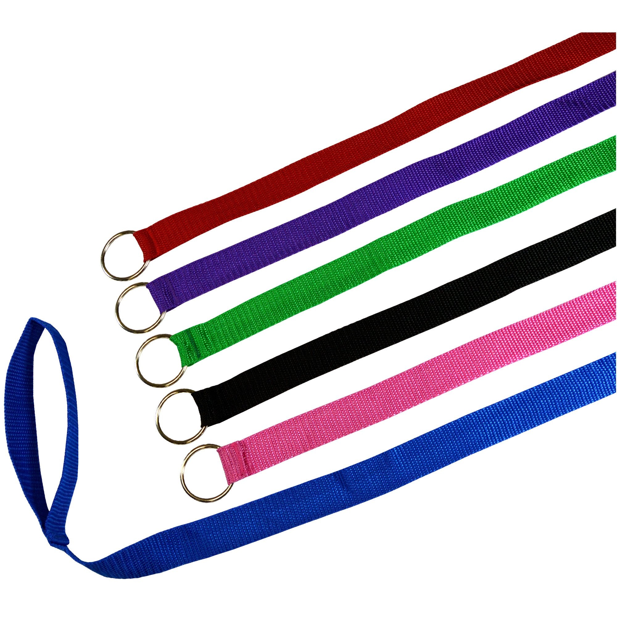 Downtown Pet Supply - 6Ft Dog Kennel Slip Lead Dog Leash - Veterinarian, Dog Grooming, Daycare & Animal Rescue Dog Supplies - One Size Leads For Dogs Bulk - 1' Thick - 12 Pack
