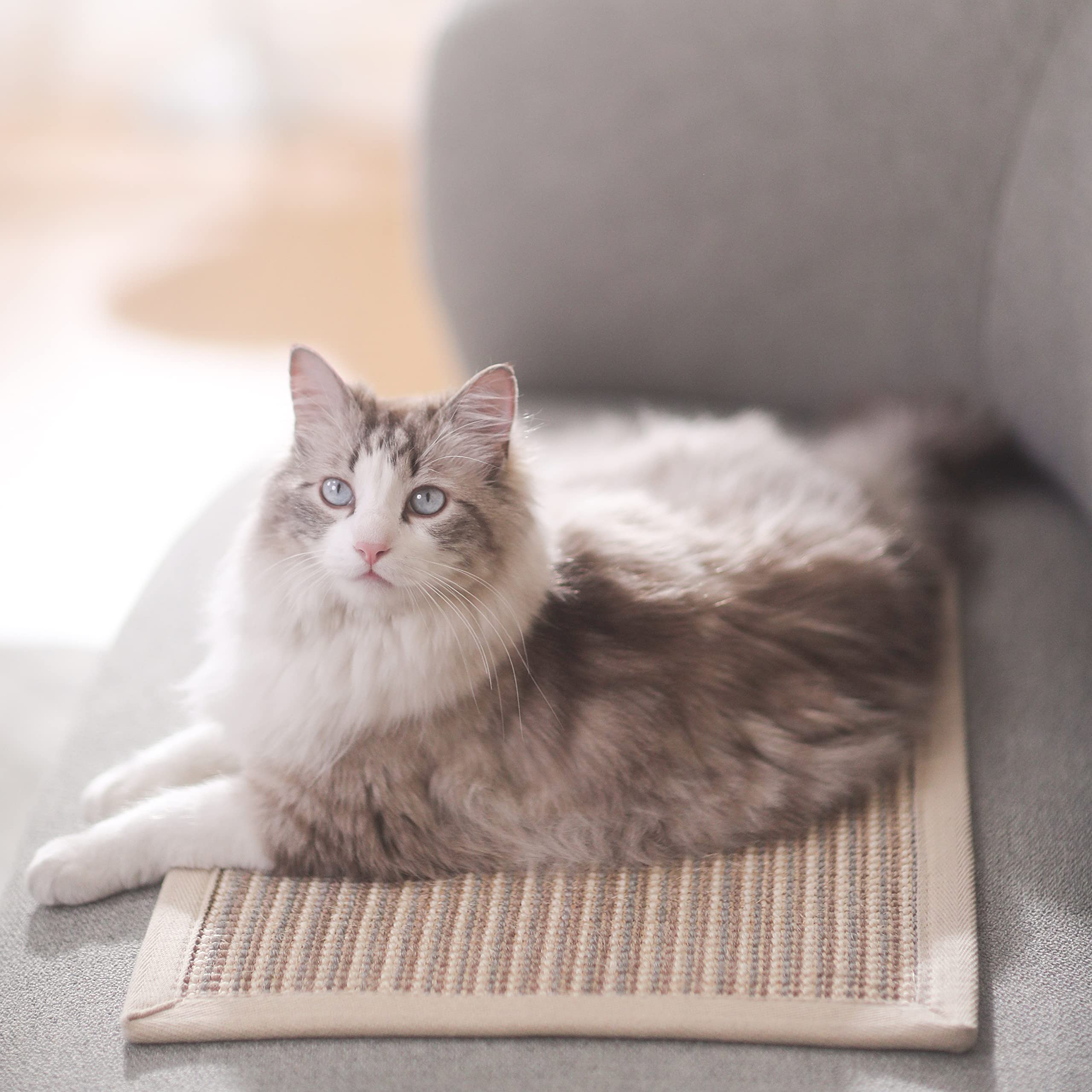 Fukumaru Cat Scratcher Mat, 23.6 X 15.7 Inch Natural Sisal Cat Scratch Mats, Horizontal Cat Floor Scratching Pad Rug, Protect Carpets And Sofas (Cream - Thicken)