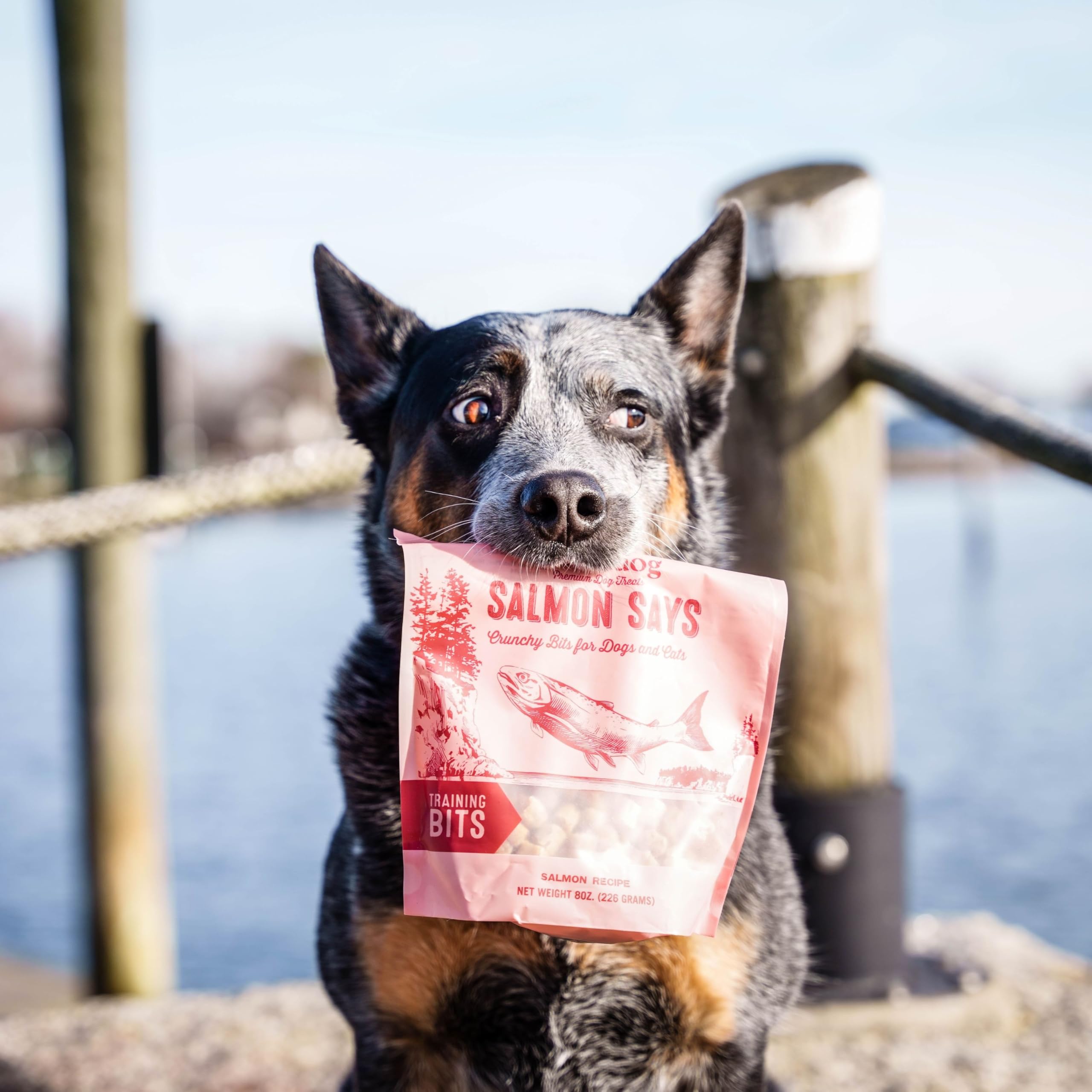 Polkadog Salmon Says Training Bits - Omega-3 Rich, Low Fat Healthy Dog Treat - Digestible, Vitamin & Mineral Packed Dog Snacks -